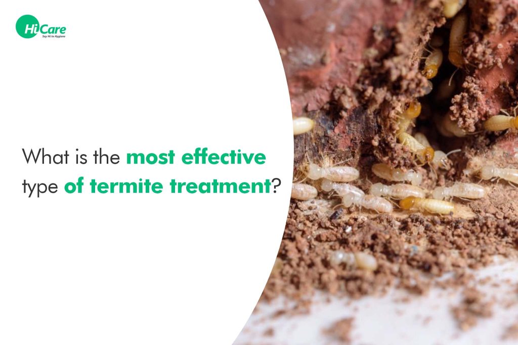 Most Effective Types Of Termite Treatment For Your Home