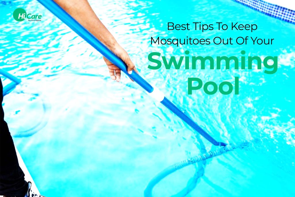 Top Tips To Keep Mosquitoes Away From Swimming Pool