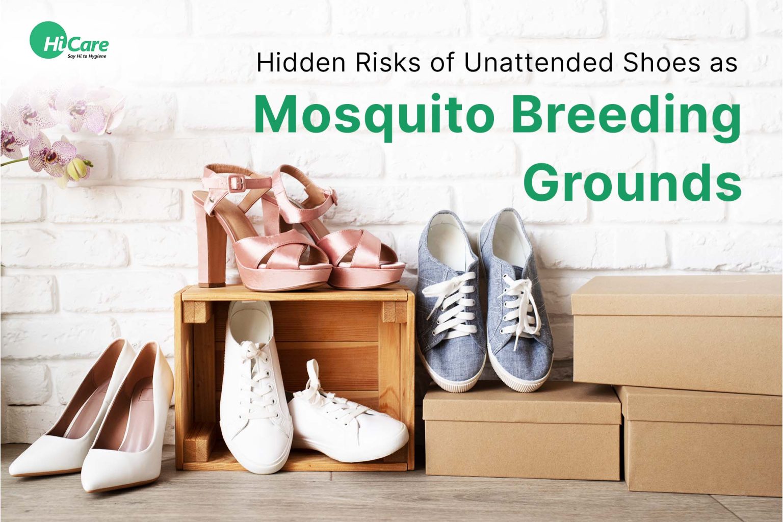 Hidden Risks Of Unattended Shoes As Mosquito Breeding Grounds