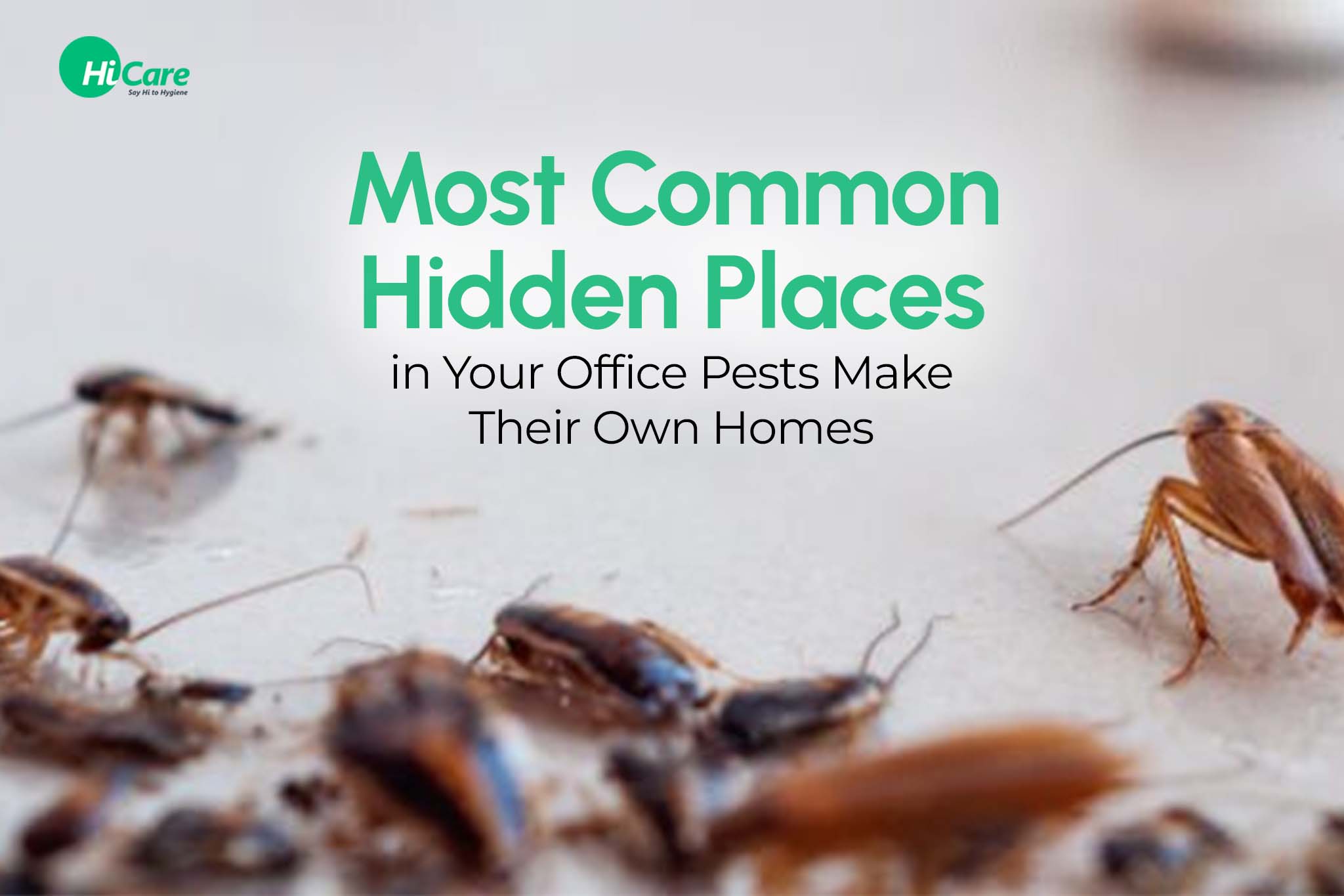 7 Most Common Hidden Places in Your Office Pests Make Their Own Homes