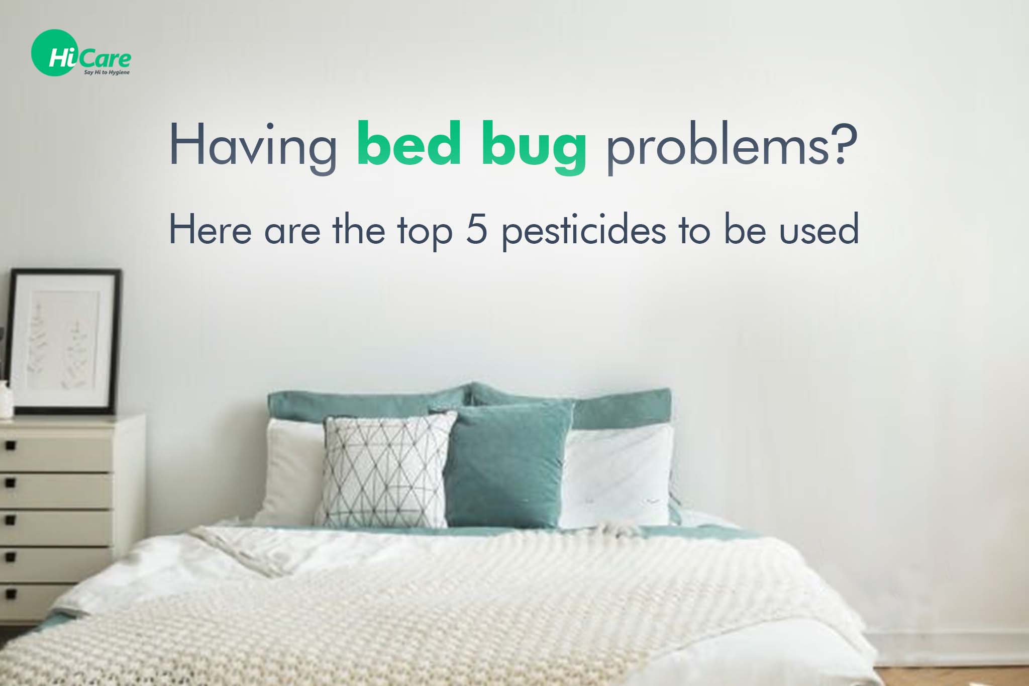 Having Bed Bug Problems? Here are The Top 5 Pesticides to be Used!