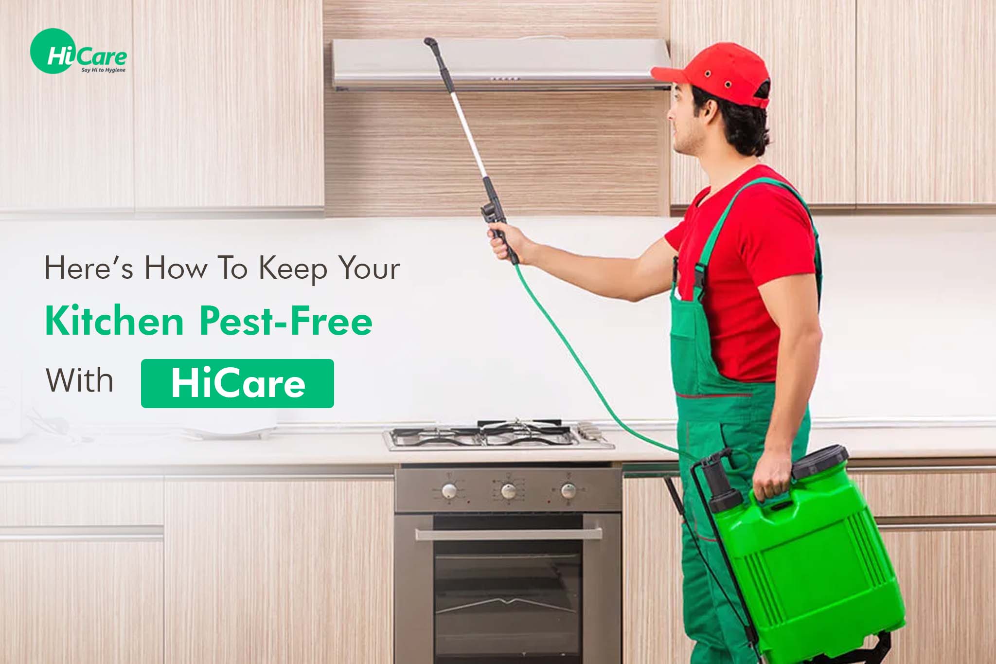 How To Keep Your Kitchen Pest-Free With HiCare Pest Control Services