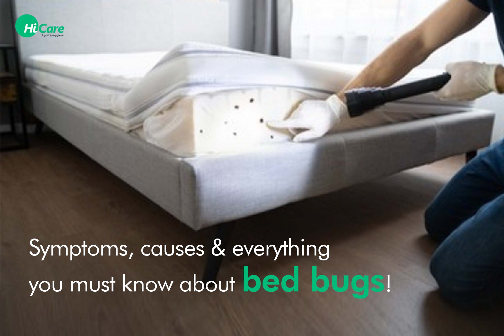 What are Bed Bugs? Bedbugs Symptoms and Causes