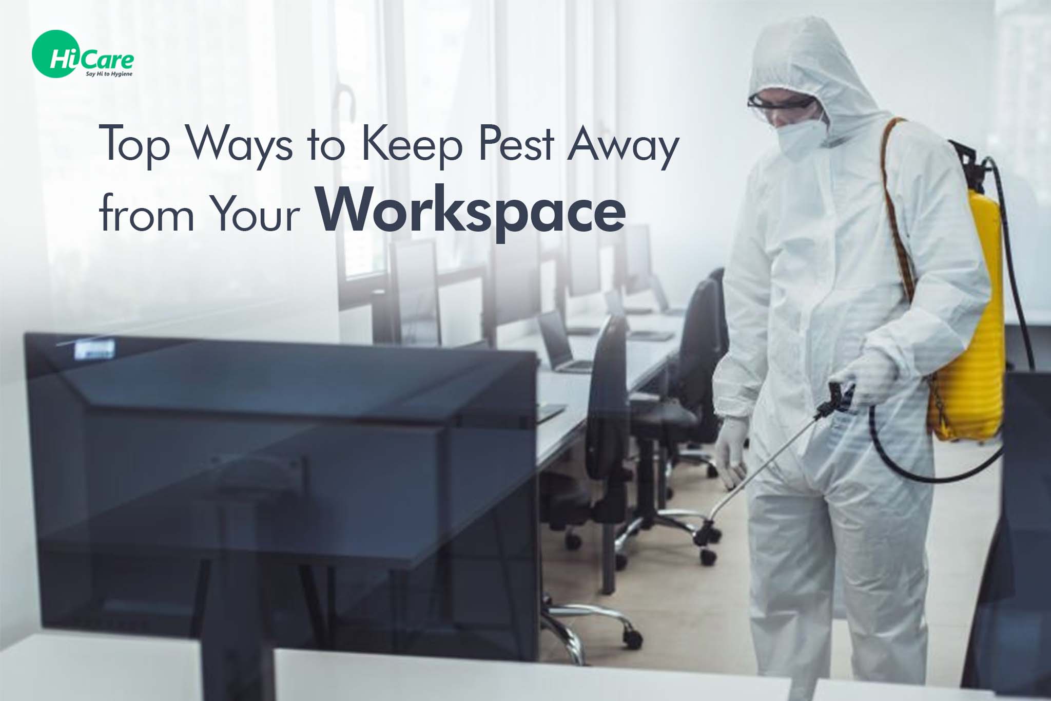 4 Ways to Keep Pest Away from Your Workspace