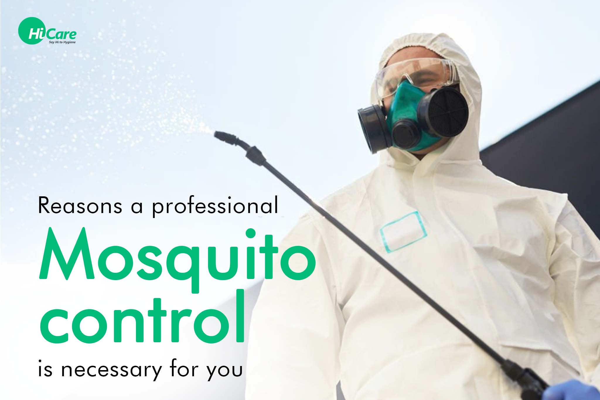 reasons why a professional mosquito control is necessary