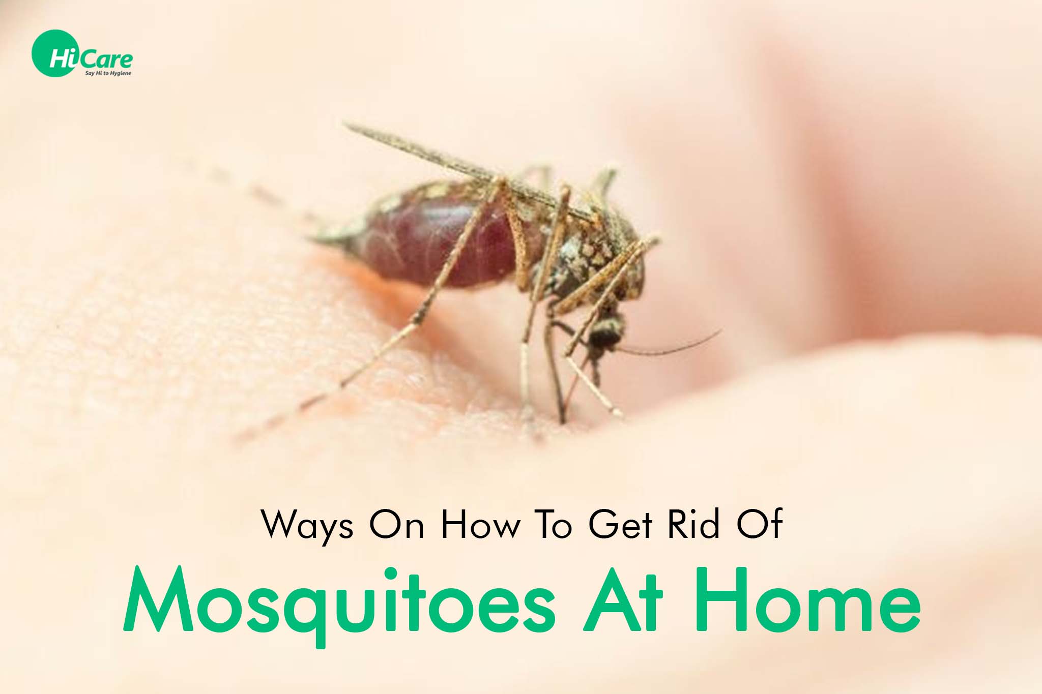 6 ways on how to get rid of mosquitoes at home
