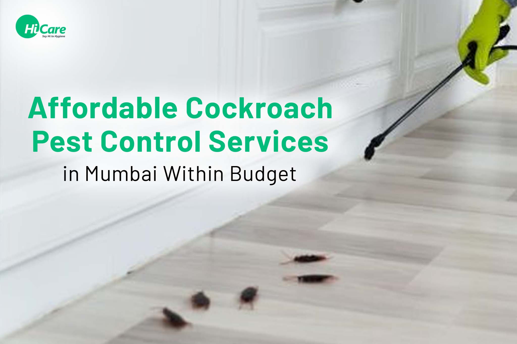 affordable cockroach pest control services in mumbai within budget