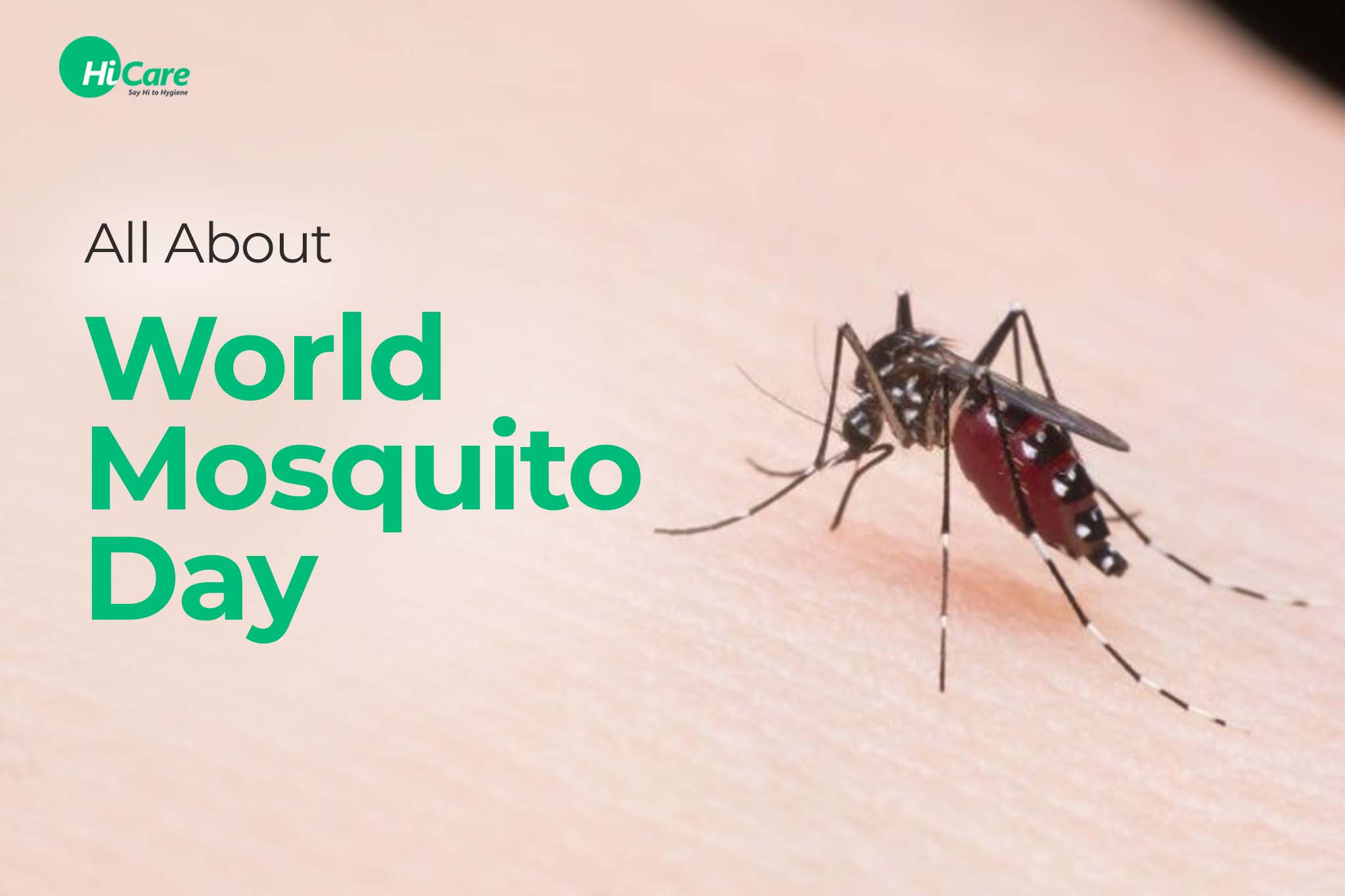 world mosquito day