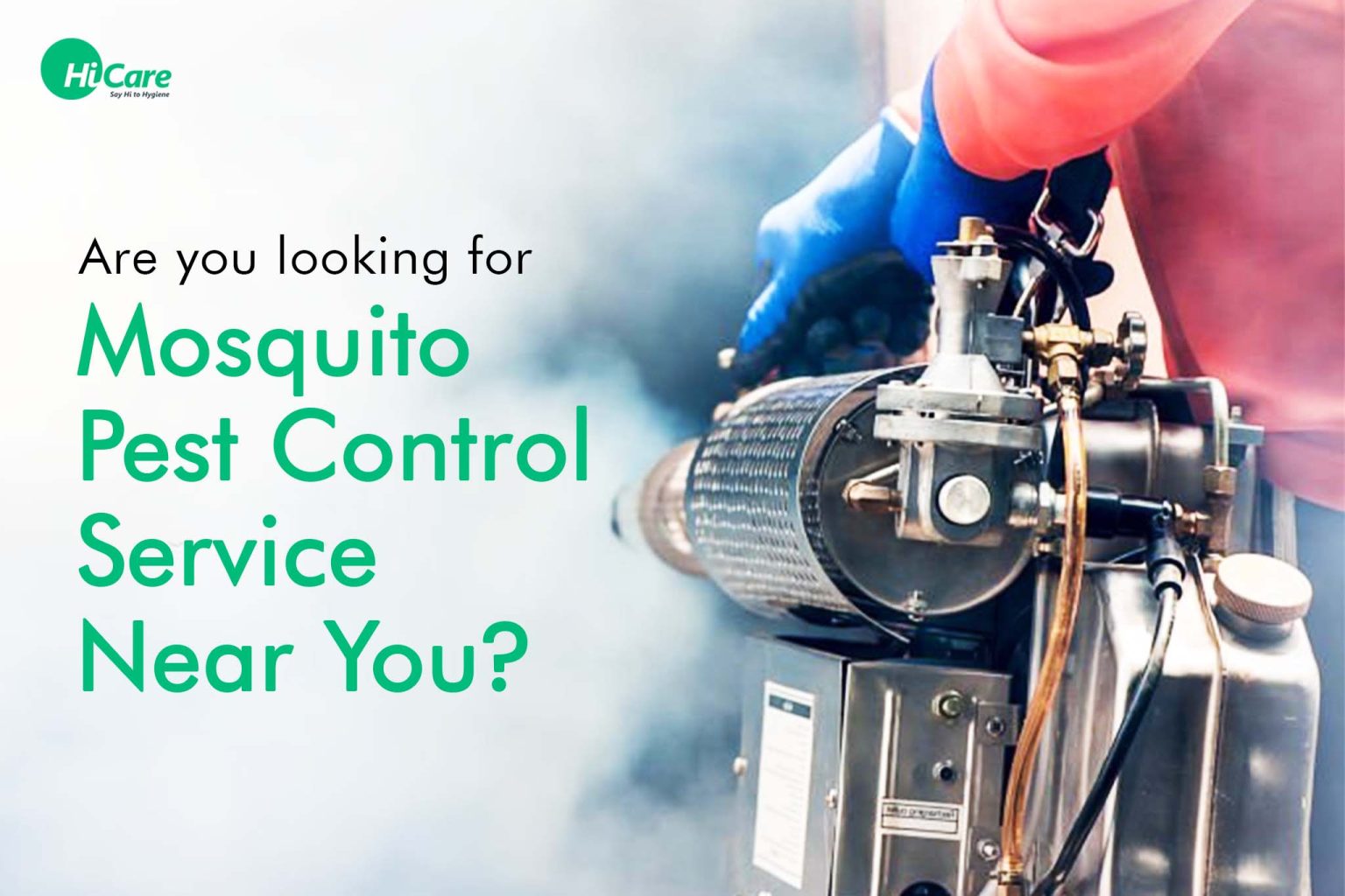 Mosquito Pest Control Service Near You HiCare