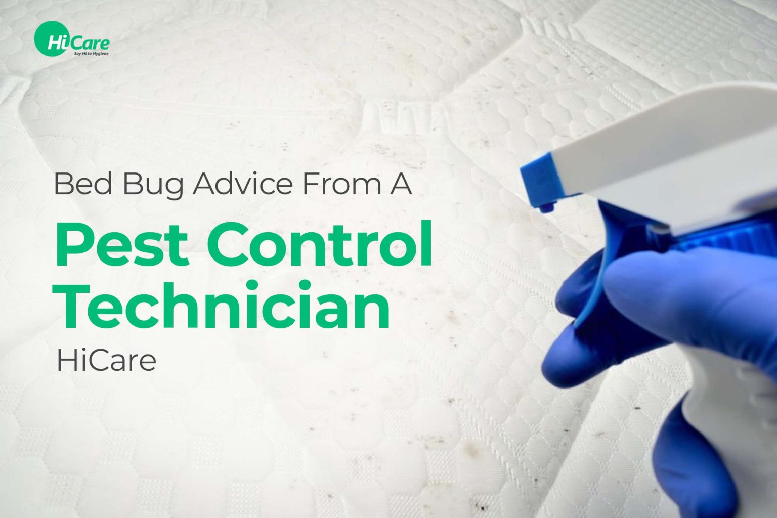 Expert Advice to Control Bed Bug Infestation HiCare