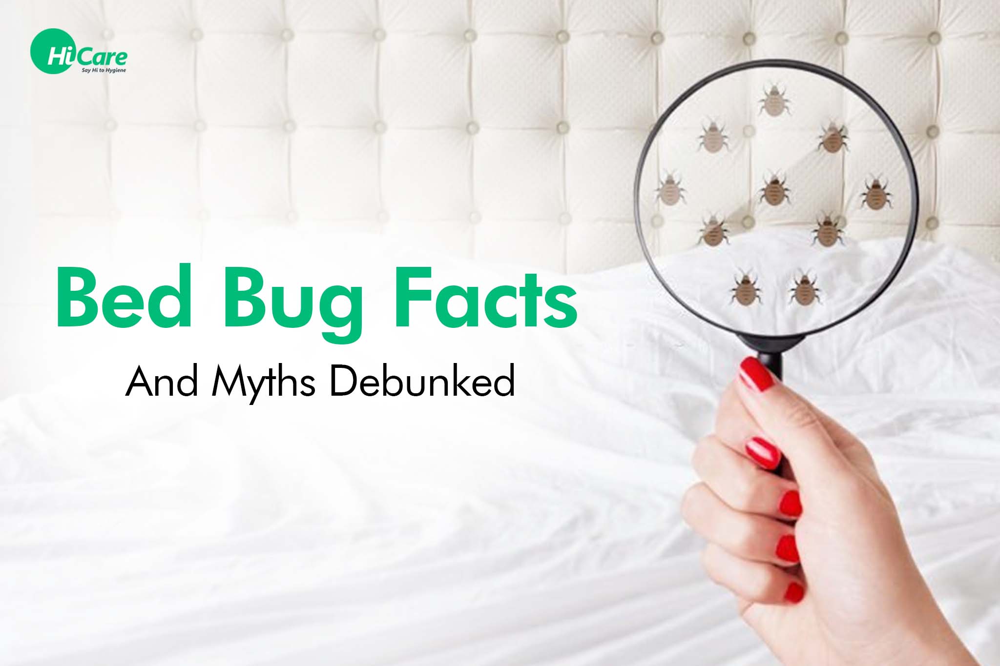 bed bugs facts and myths