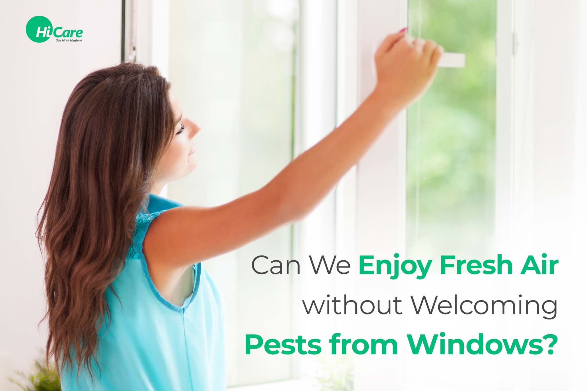 Can We Enjoy Fresh Air without Welcoming Pests from Windows?