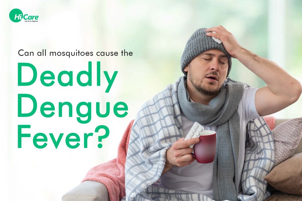 Can all mosquitoes cause the deadly dengue fever?