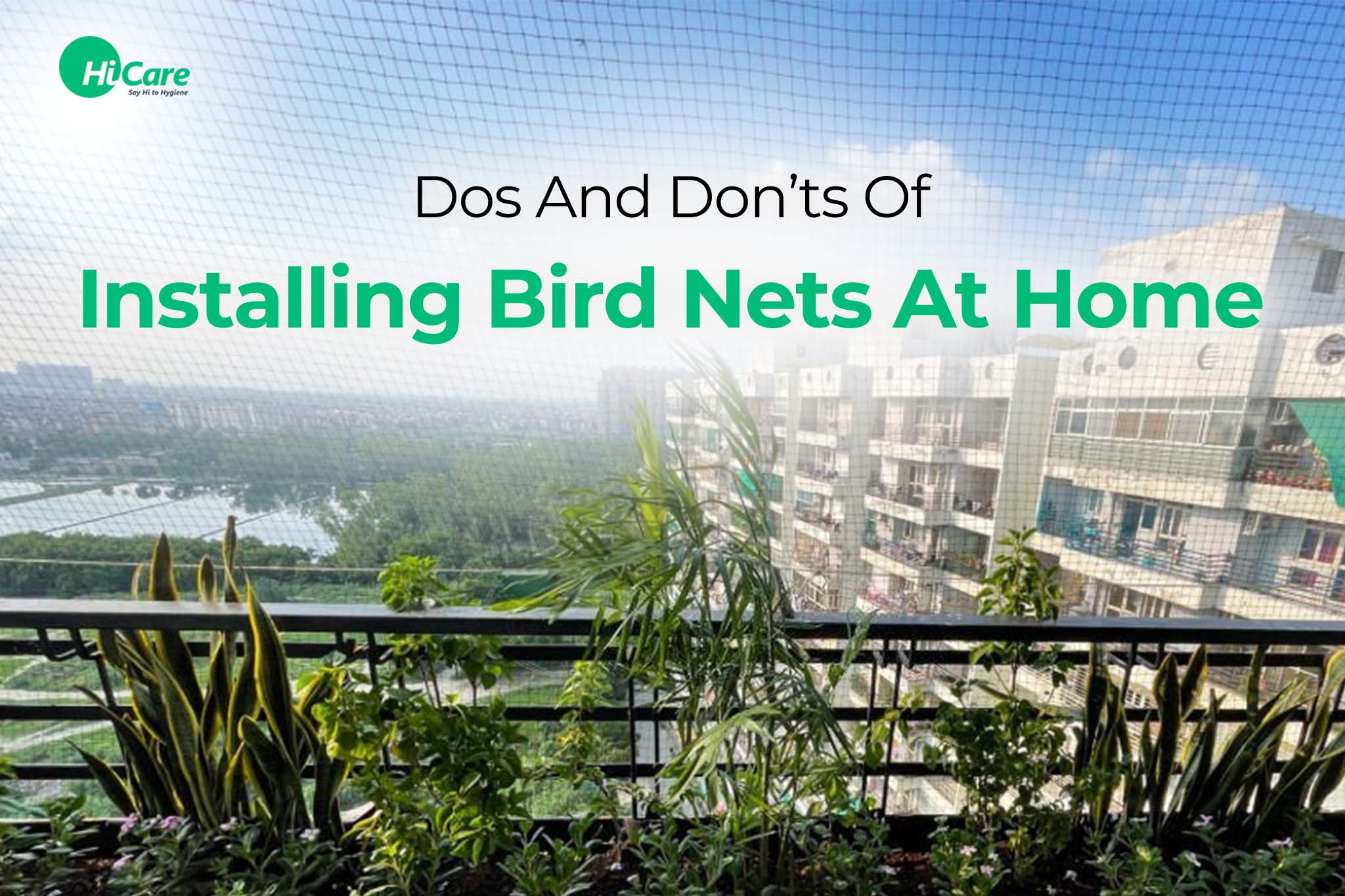 dos and don'ts of installing bird nets at home