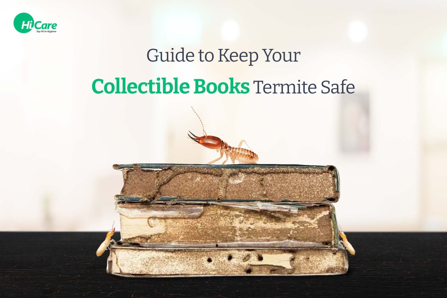 A Guide to Keep Your Books Safe From Termites