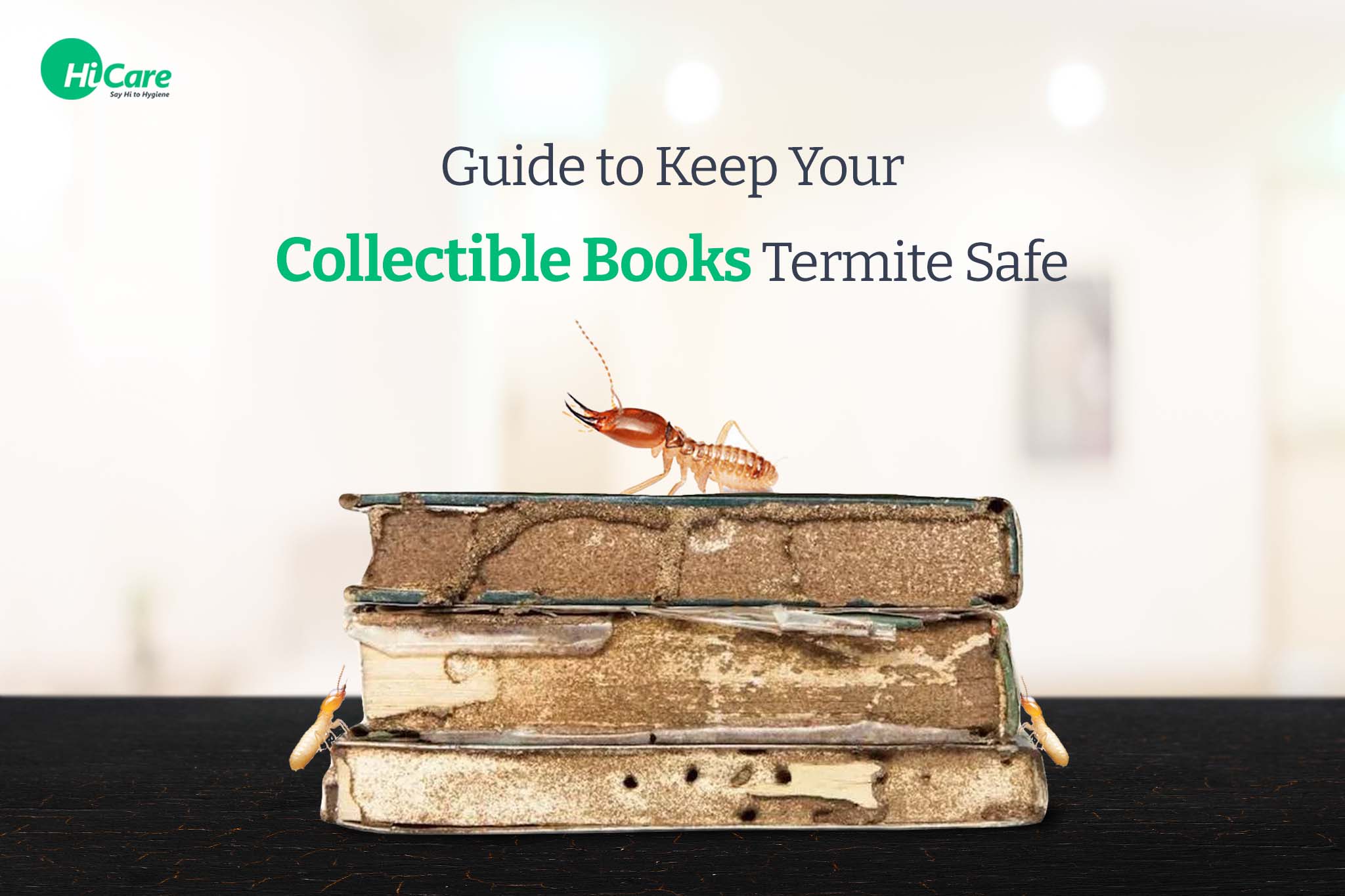 how to keep my books safe from termites