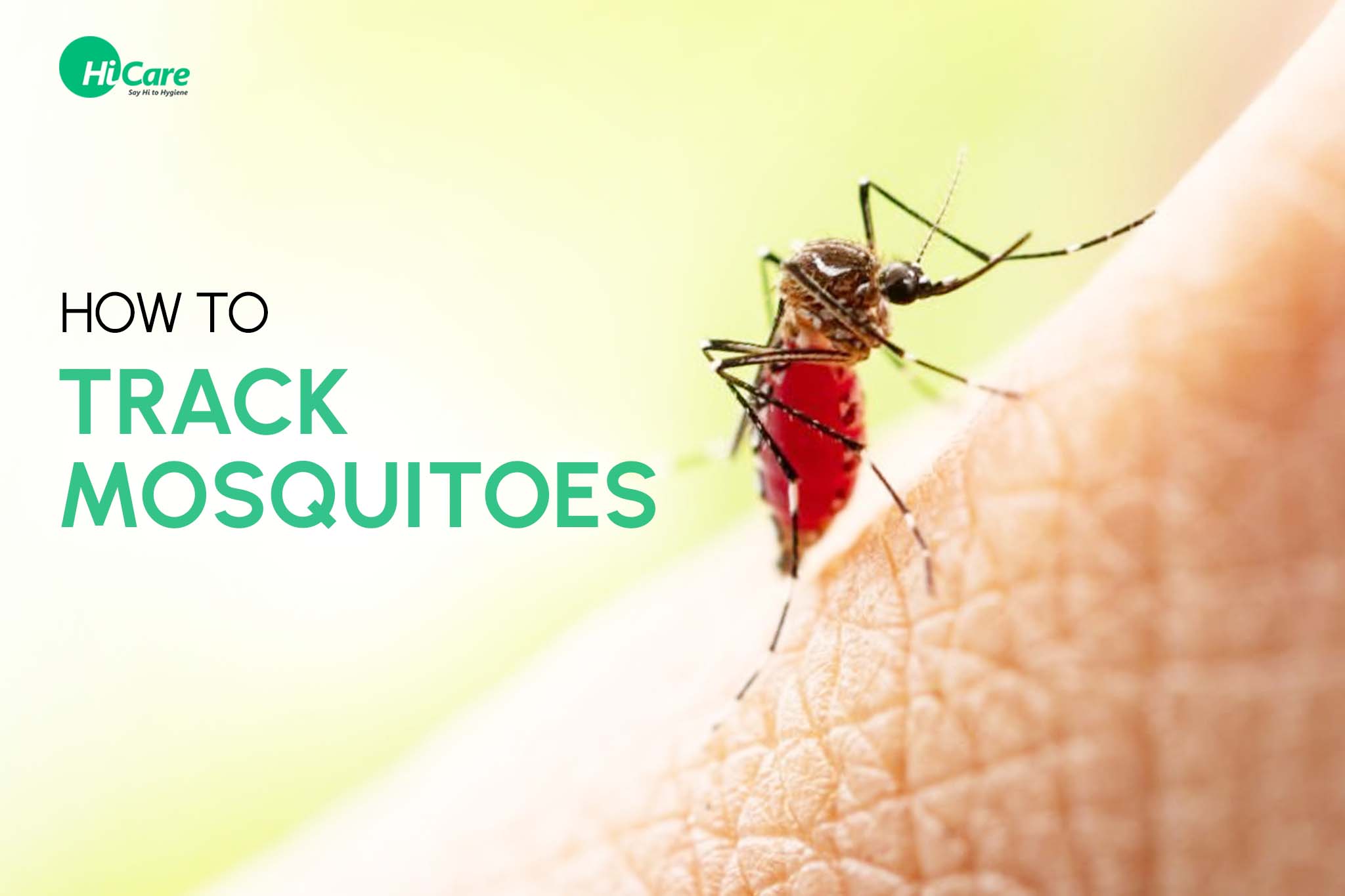 how to track mosquitoes