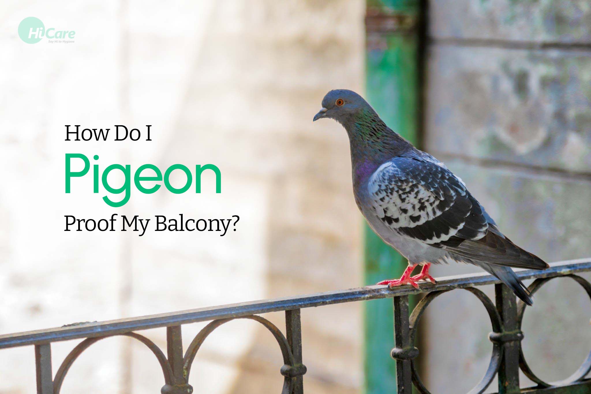 how do i pigeon proof my balcony