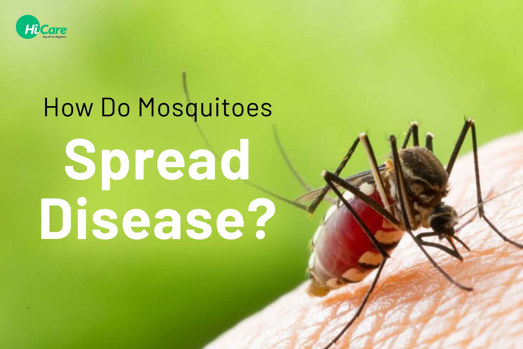 how do mosquitoes spread disease