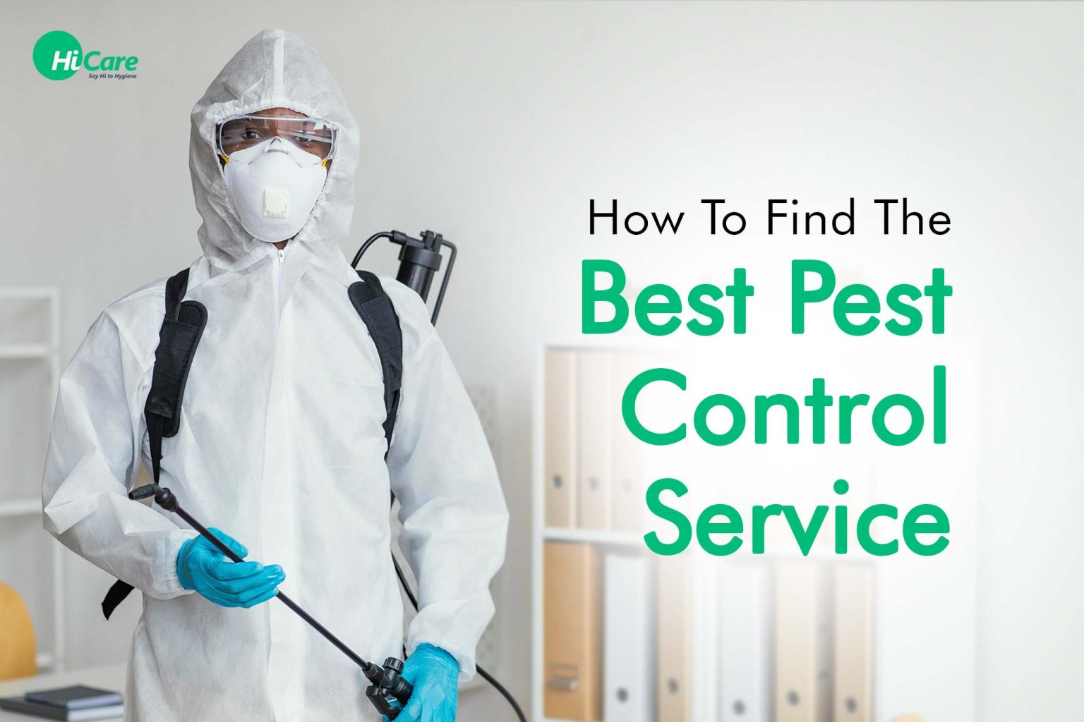 How To Find The Best Pest Control Service HiCare Blogs on Pest