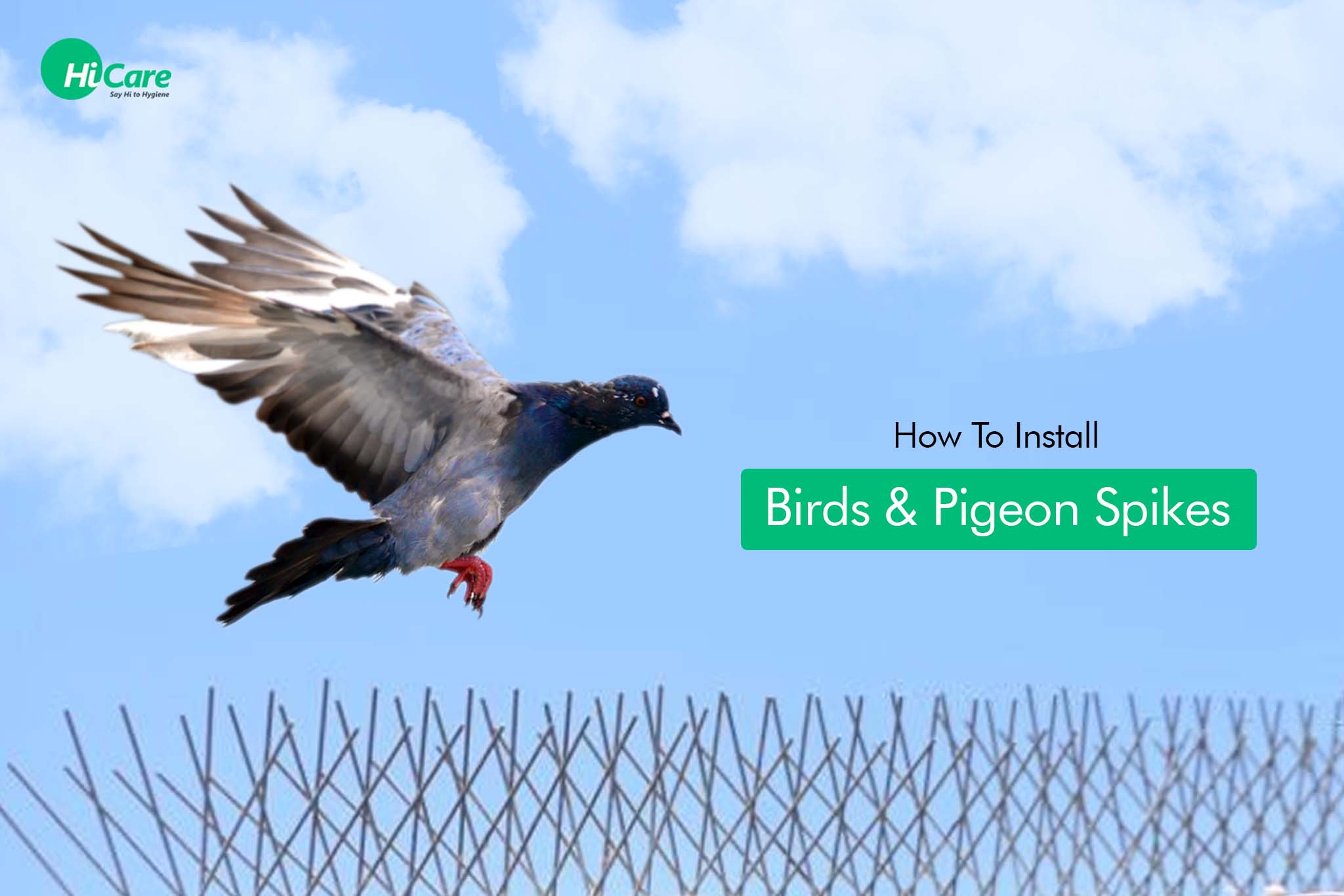 how to install birds & pigeon spikes