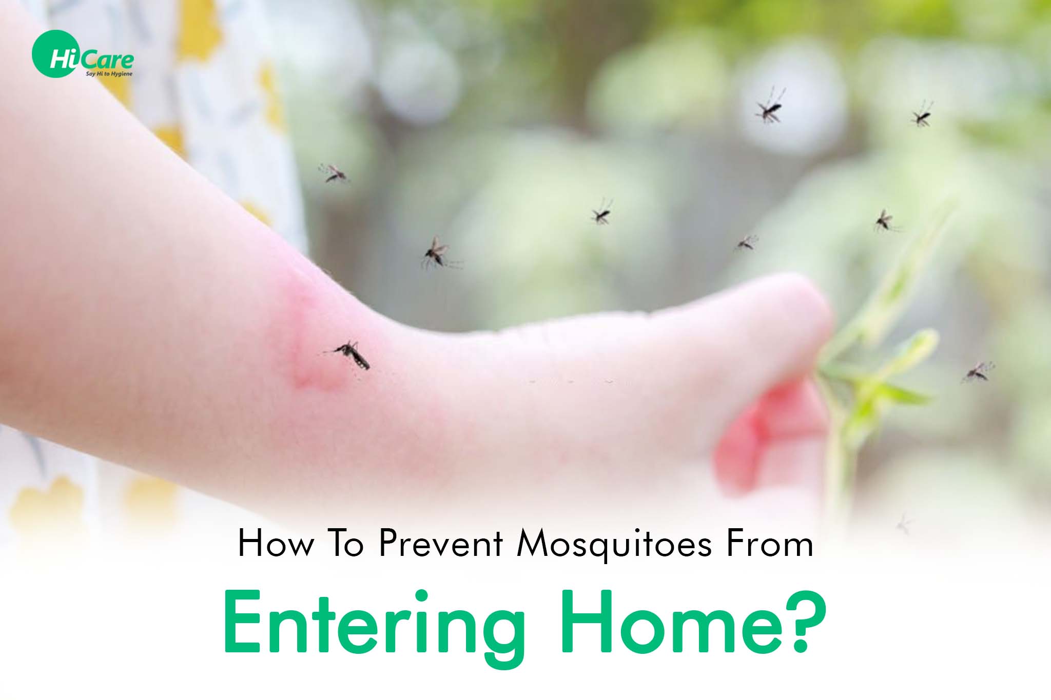 how to prevent mosquitoes from entering home