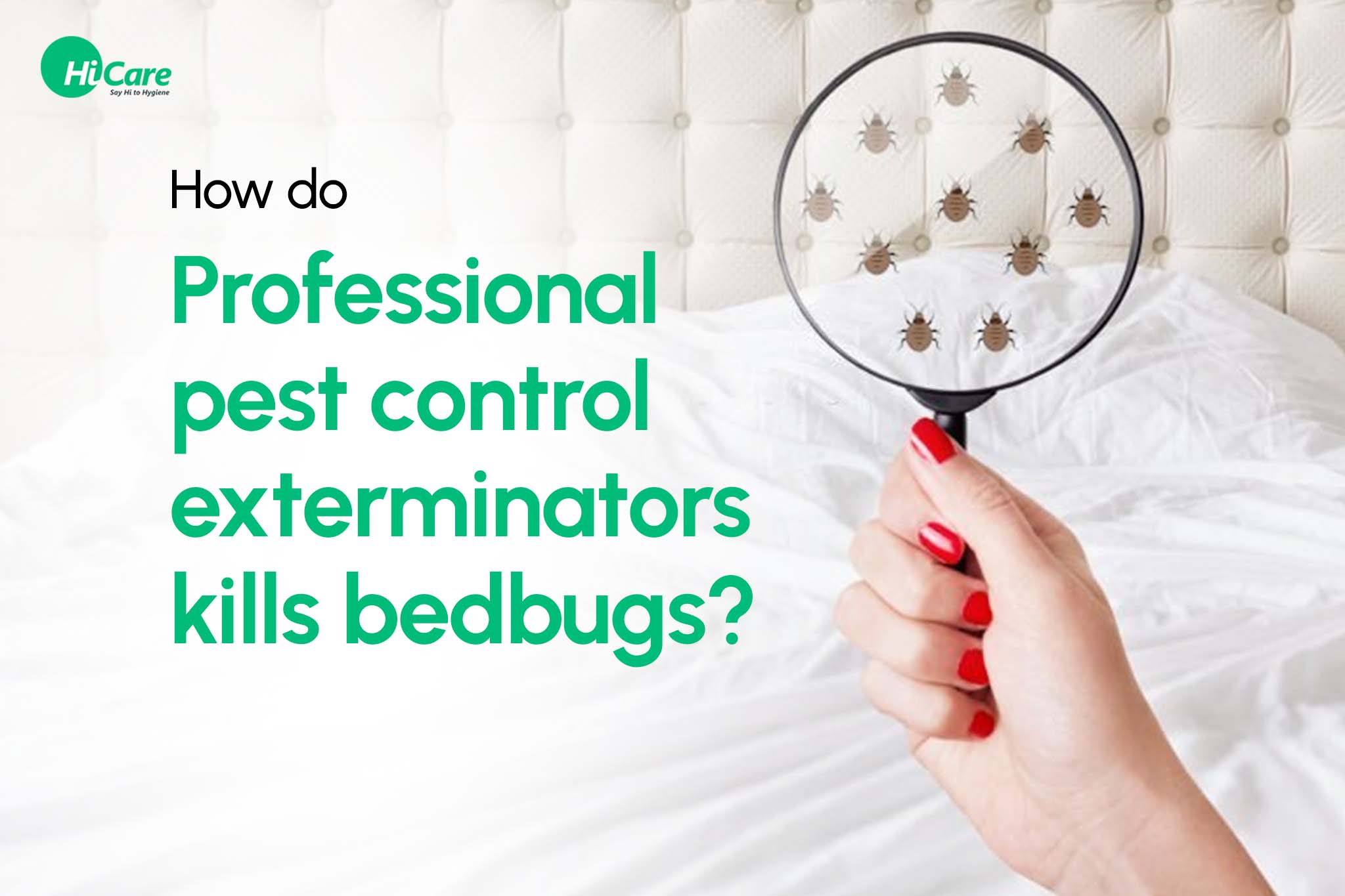 how do professional pest control exterminators kills bed bugs