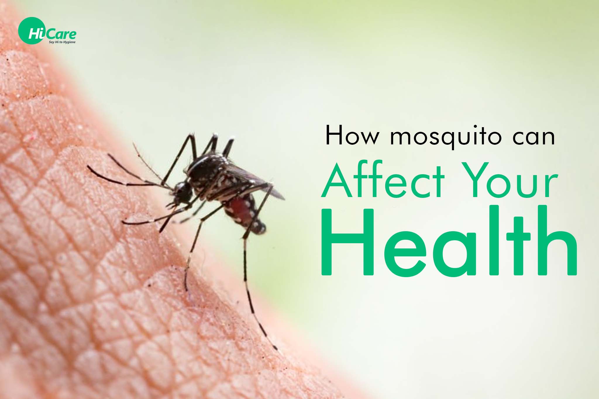 how mosquito can affect your health