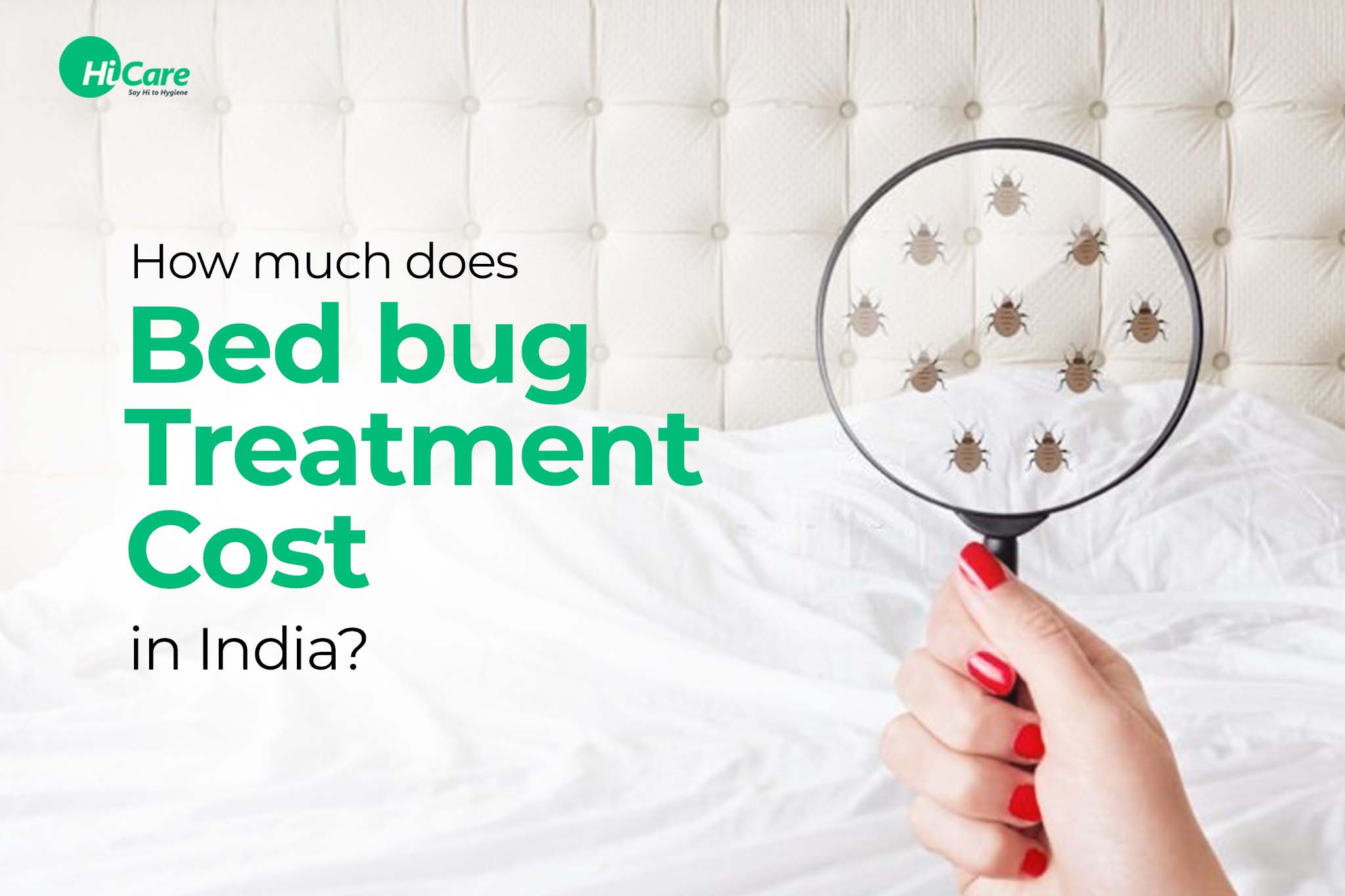 how much does bed bug treatment cost in india