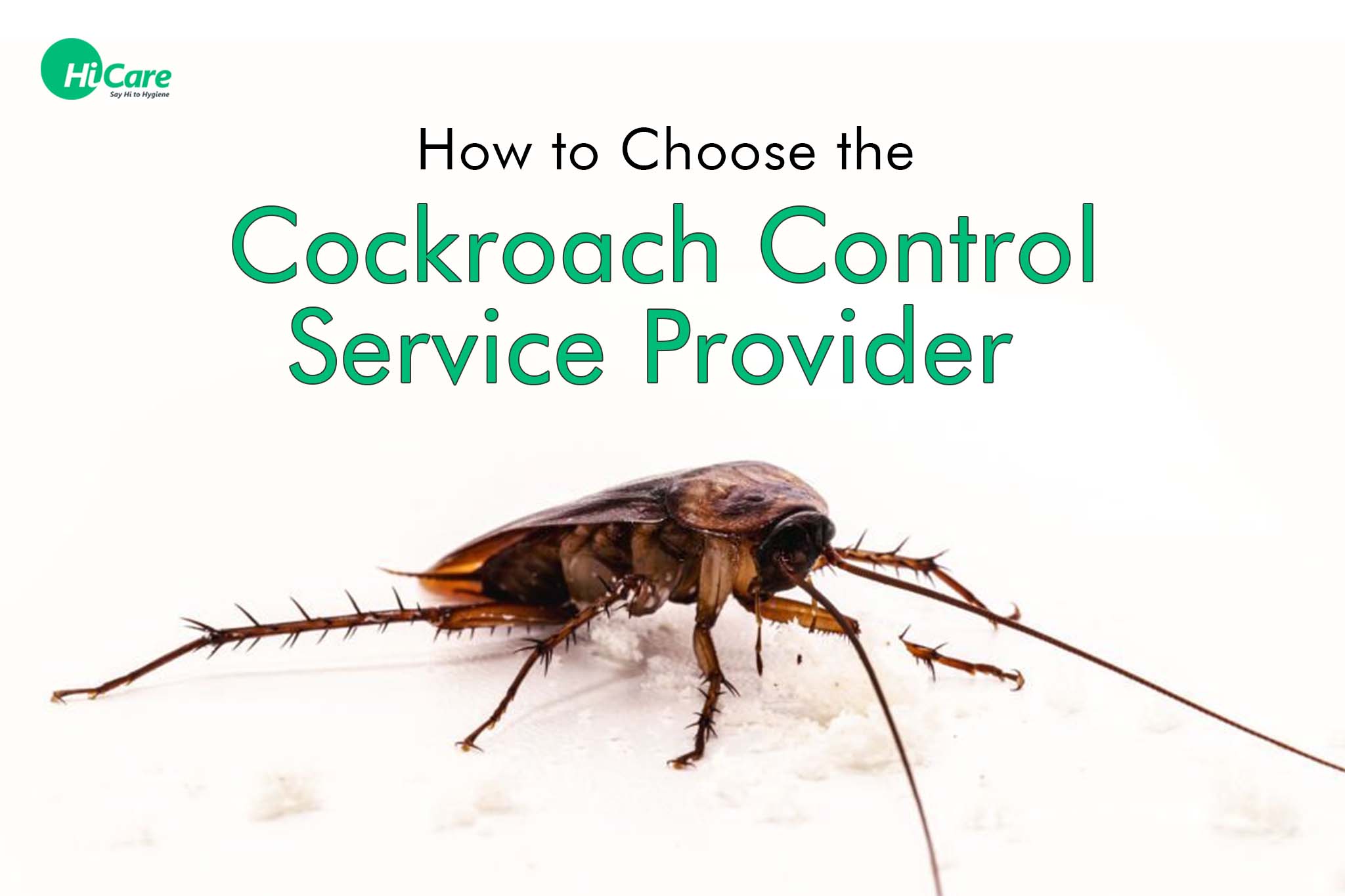 how to choose the cockroach control service provider