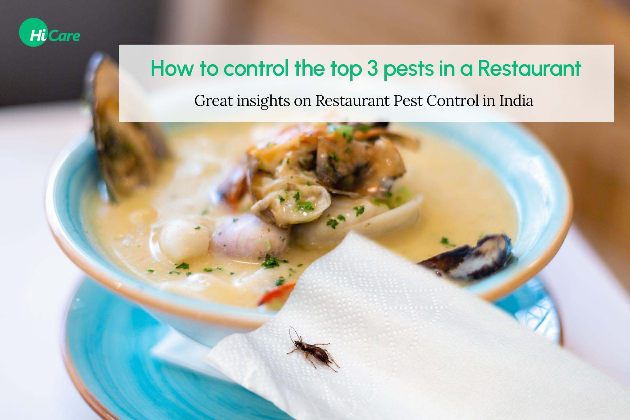 how to control pests in a restaurant