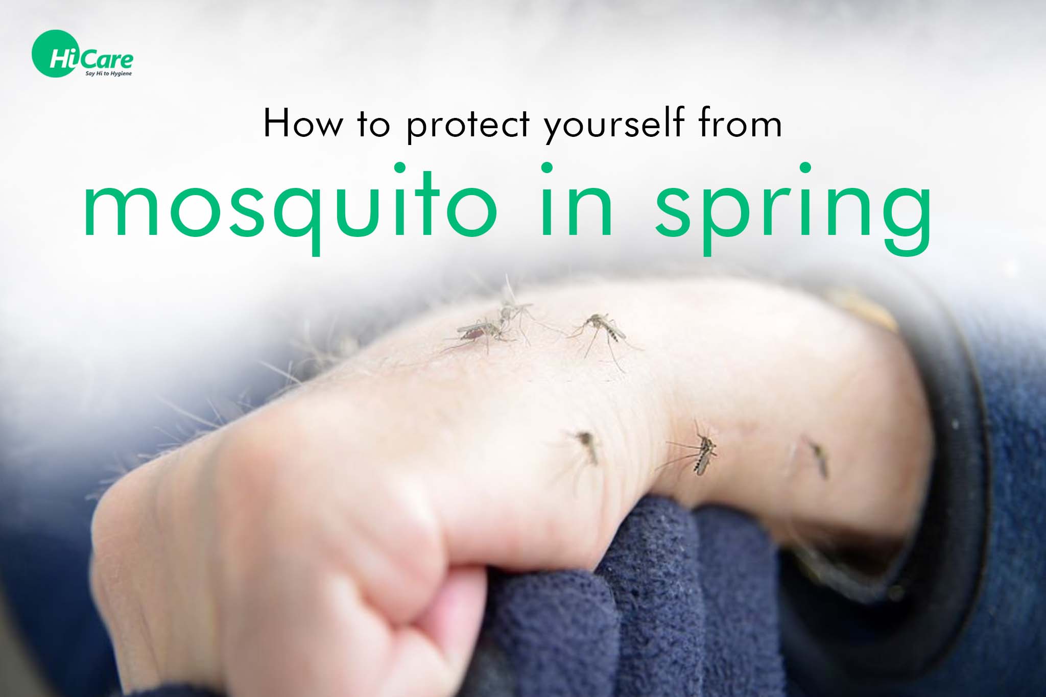 how to protect yourself from mosquito in spring