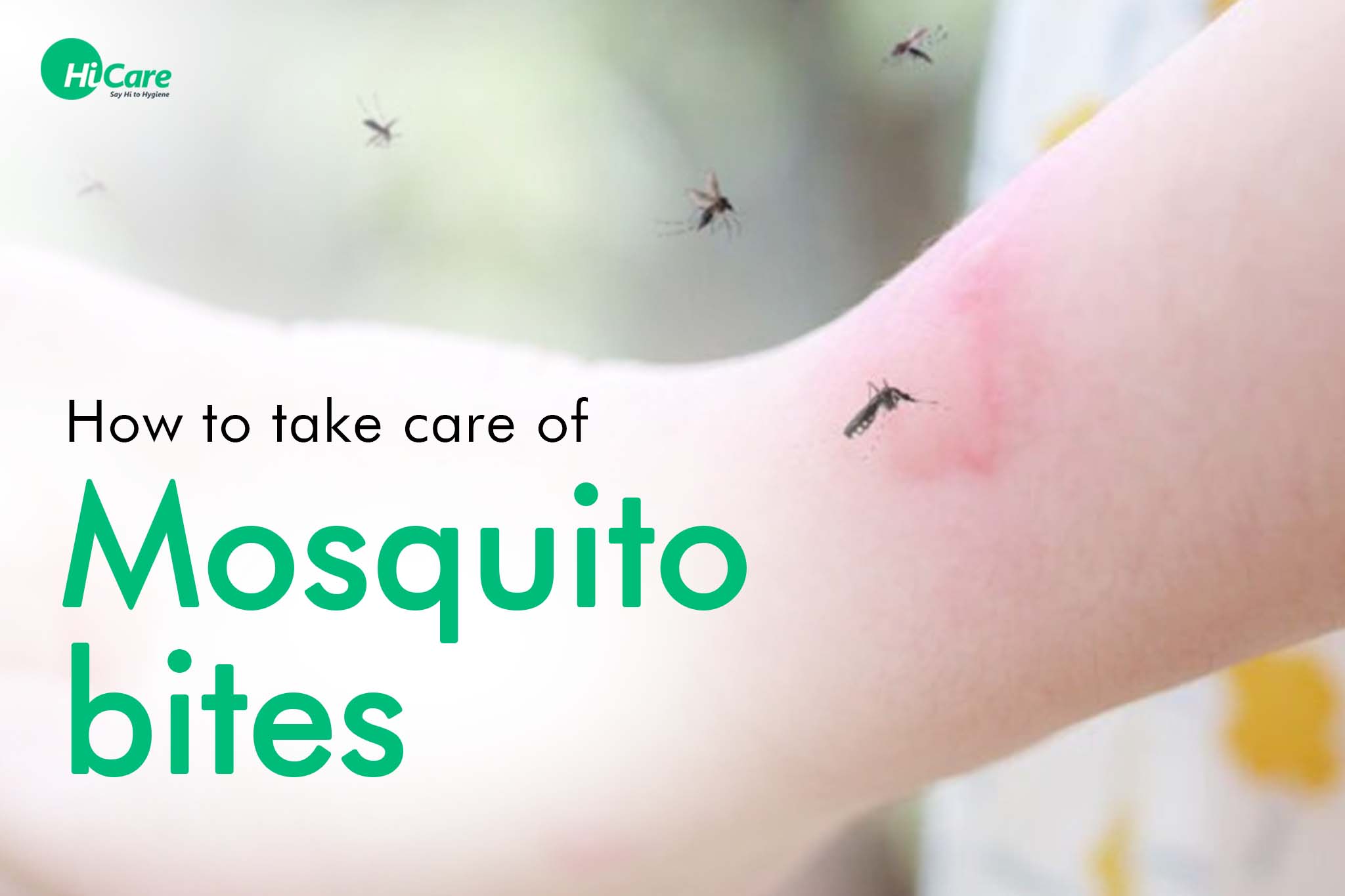 how to take care of mosquito bites