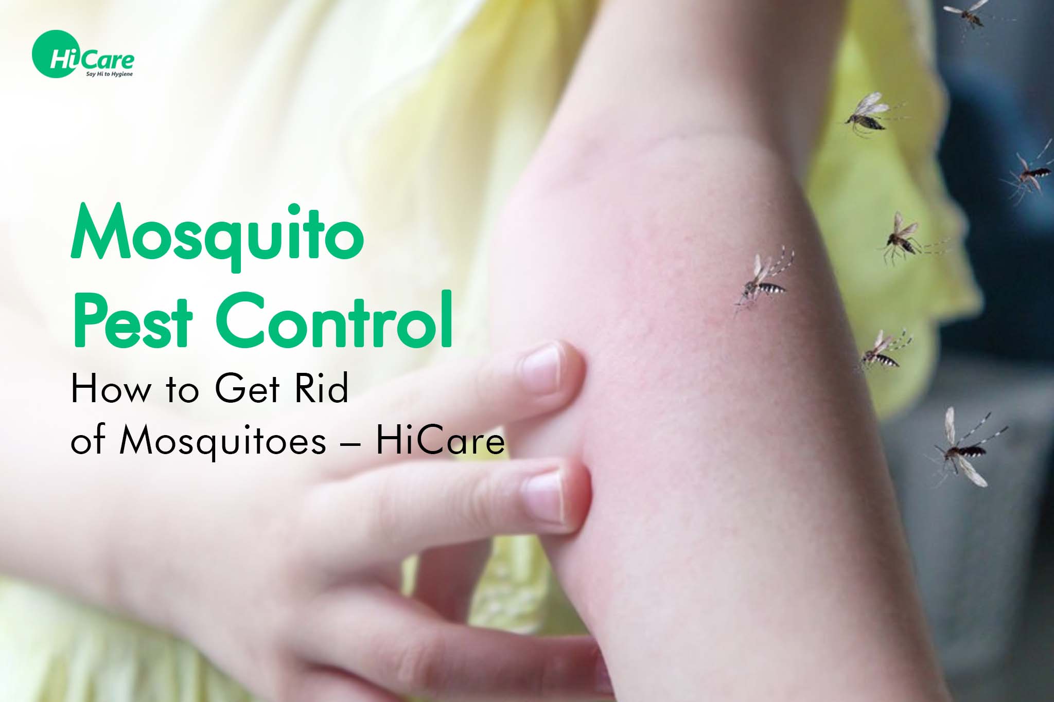 Mosquito Pest Control: How to Get Rid of Mosquitoes – HiCare