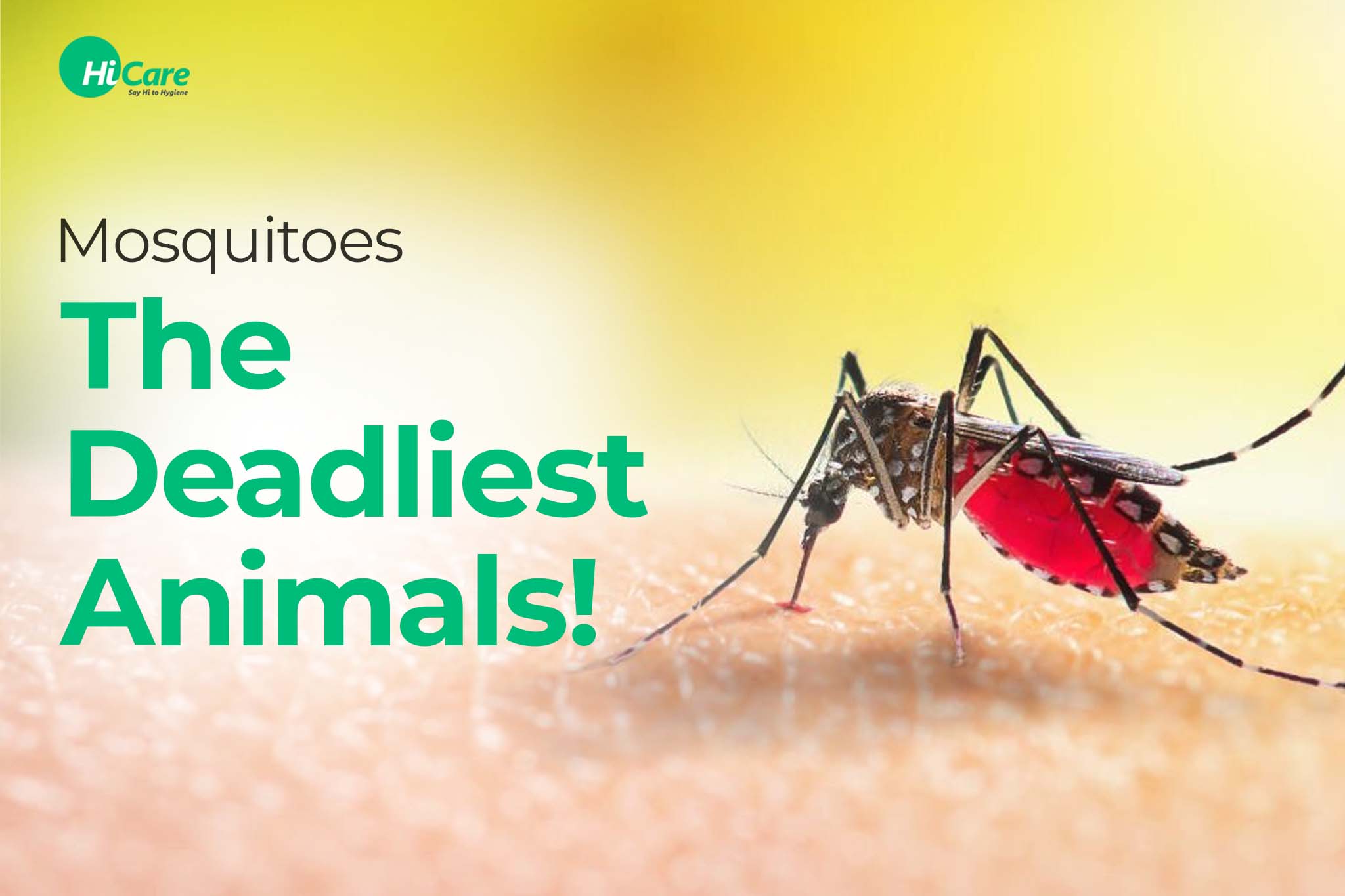 mosquitoes: the deadliest animal