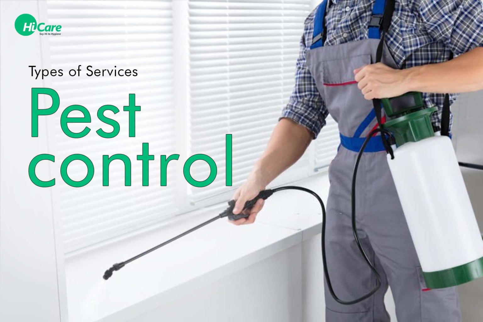 Pest control Types of Services HiCare Blogs on Pest Control