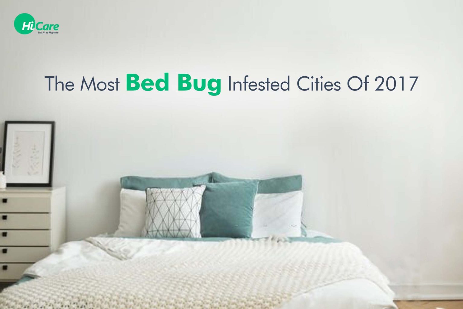 10 Most Bed Bug Infested Indian Tourist Destinations in 2017 HiCare