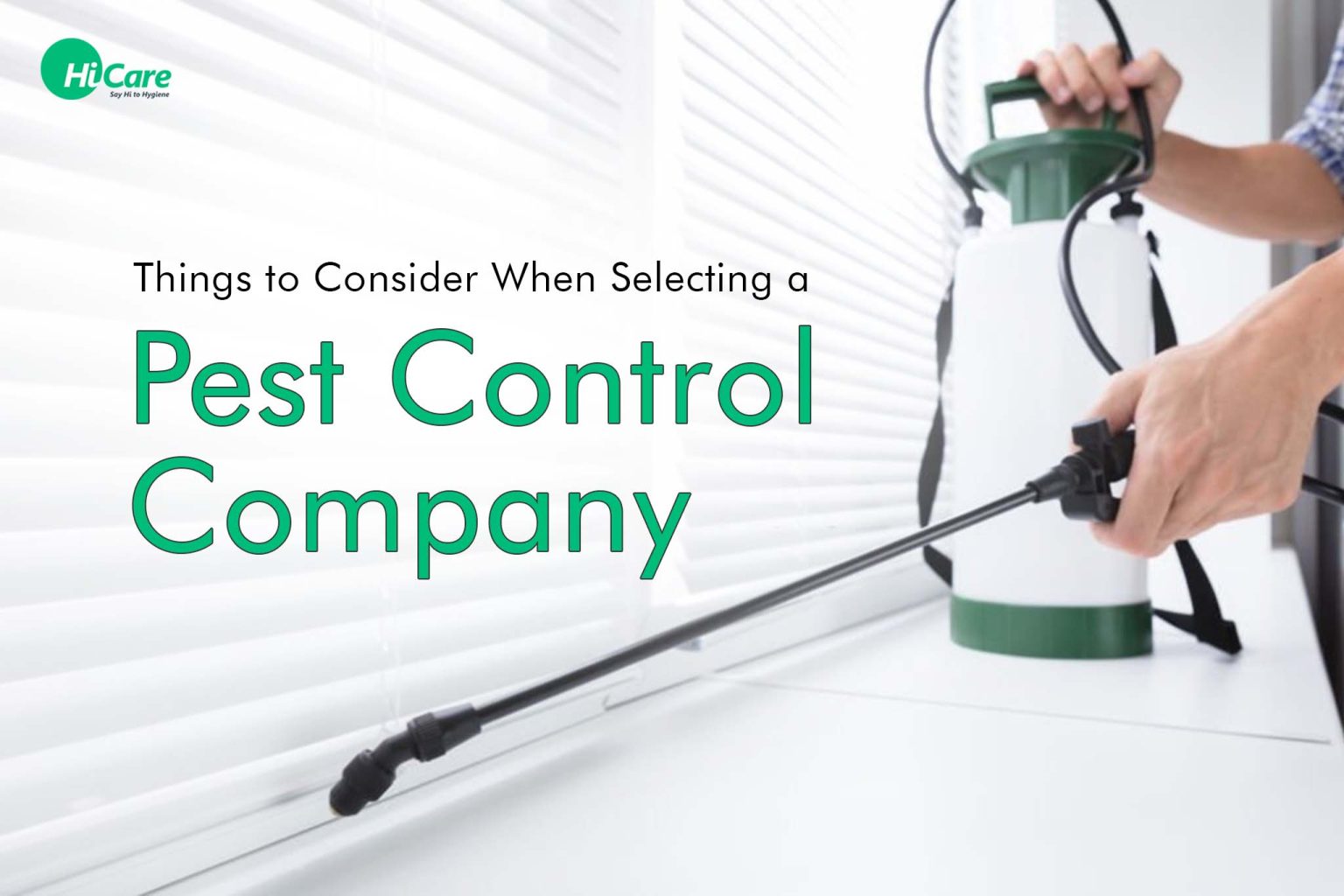 Things to Consider When Selecting a Pest Control Company HiCare