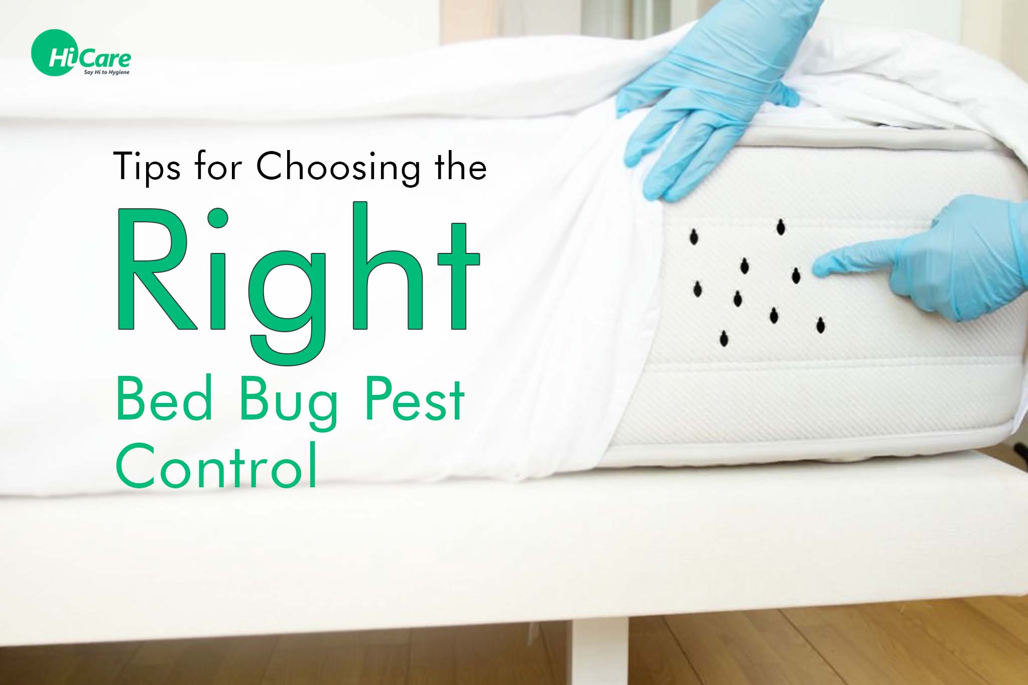 tips for choosing the right bed bug pest control