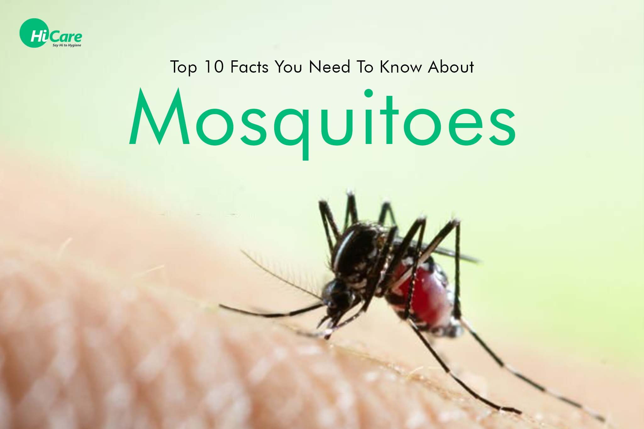 Top 10 Facts You Need To Know About Mosquitoes