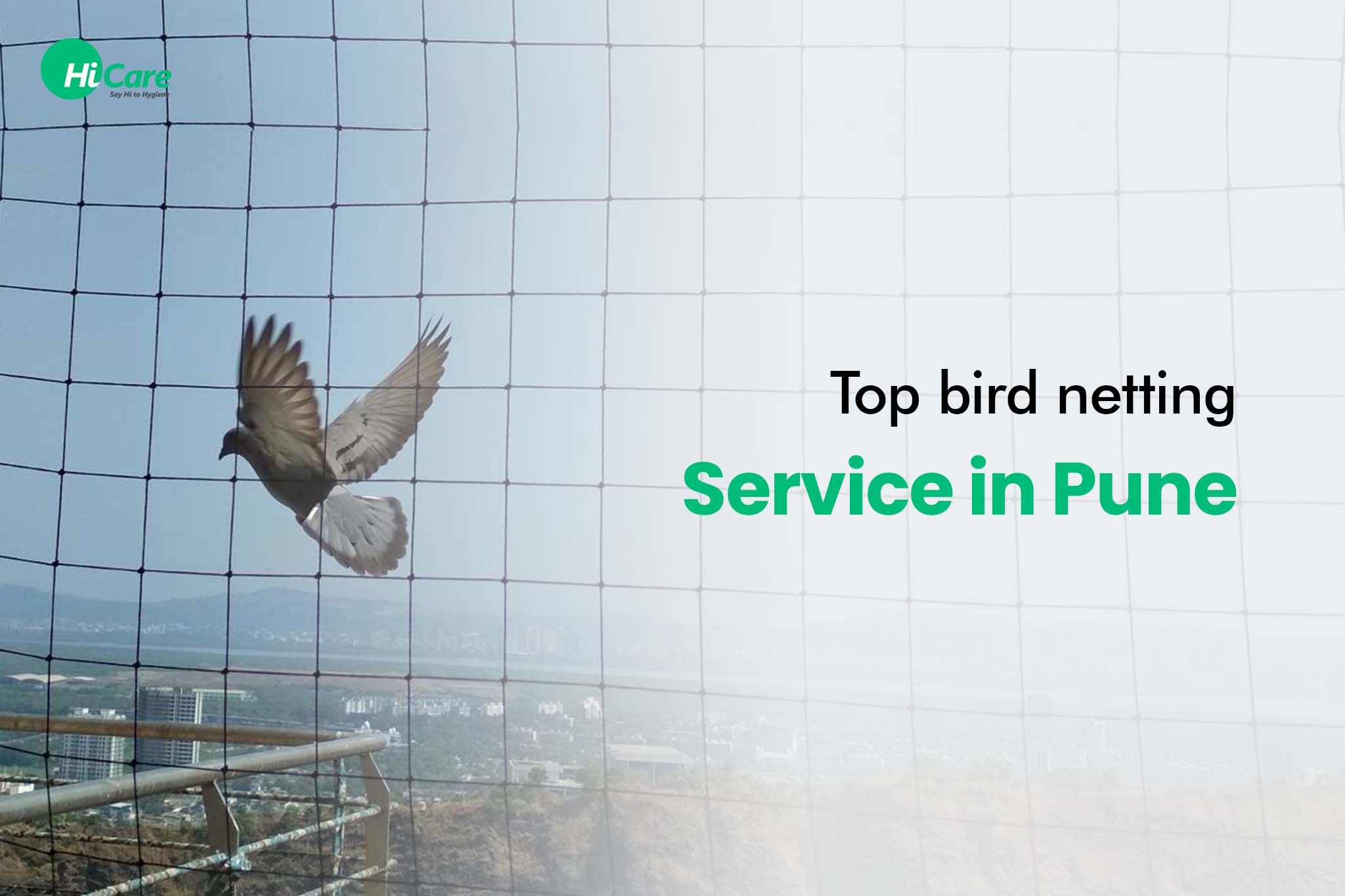 Top bird netting service in Pune