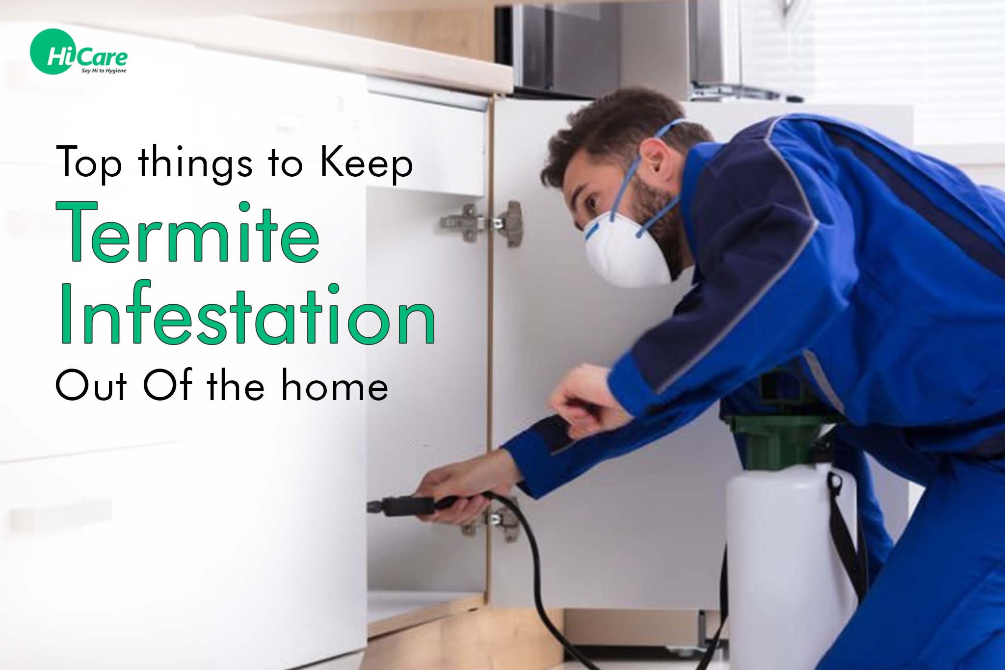 top things to keep termite infestation out of the home