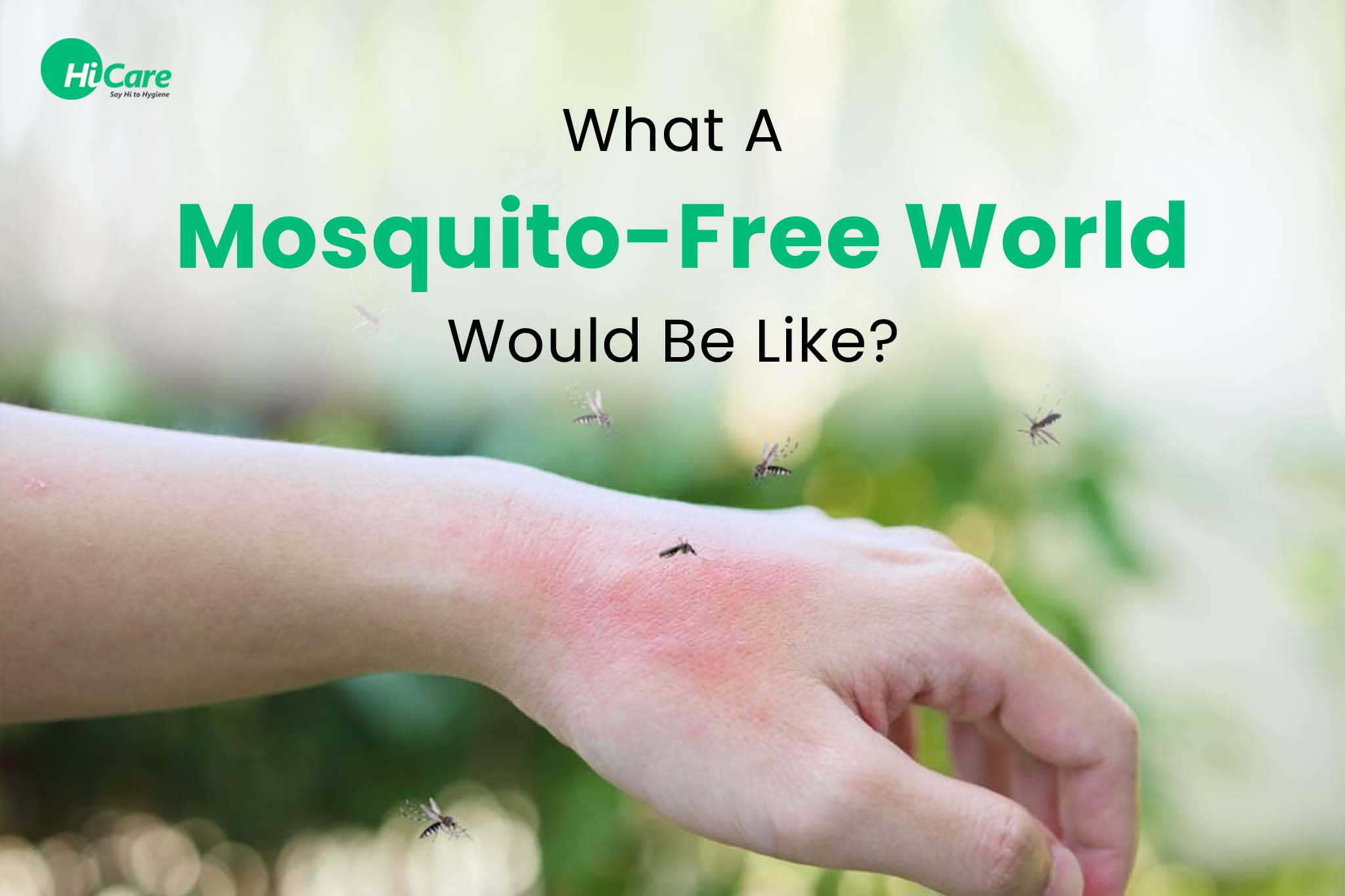 what a mosquito free world would be like