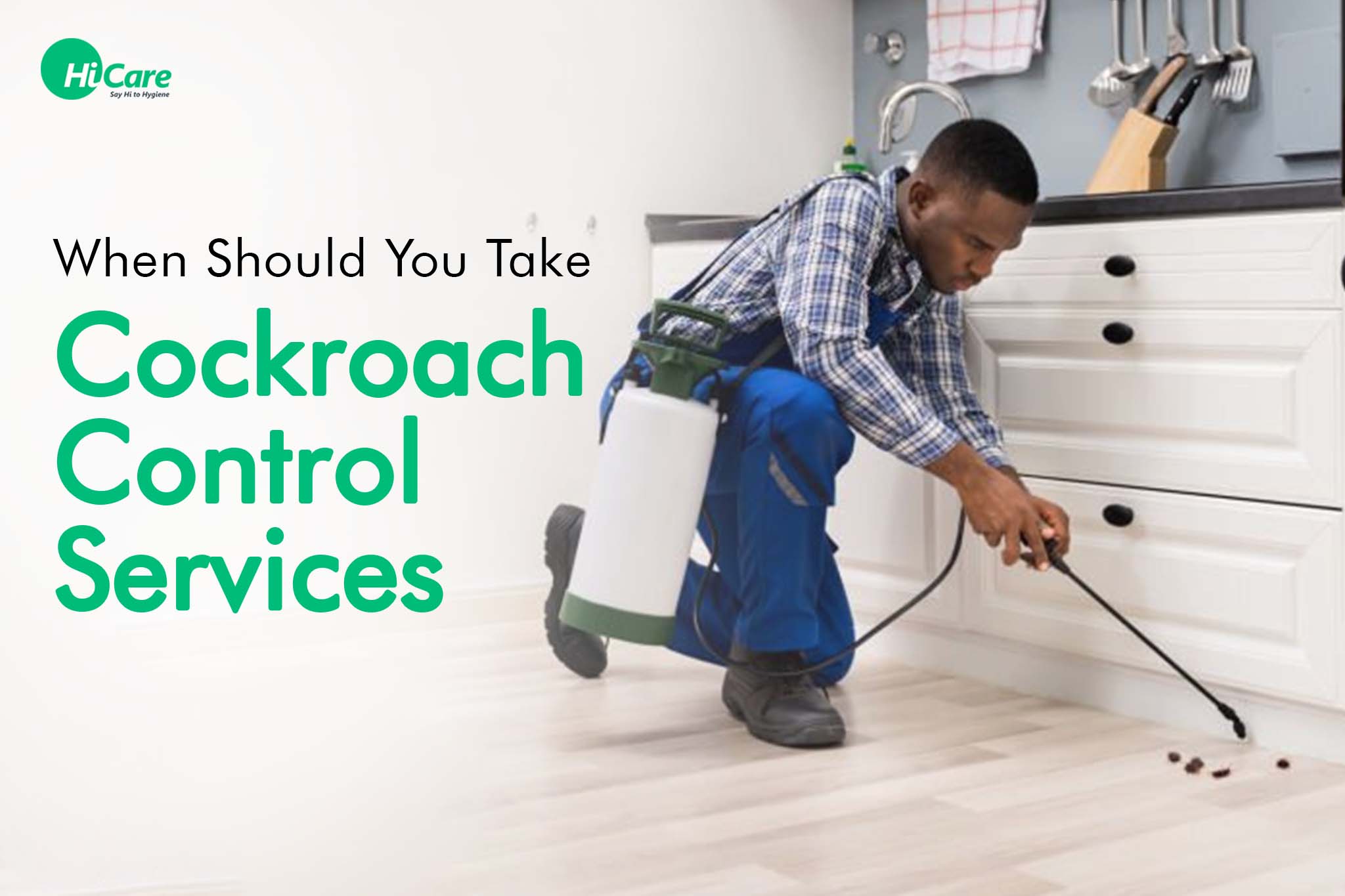 when should you take cockroach control services