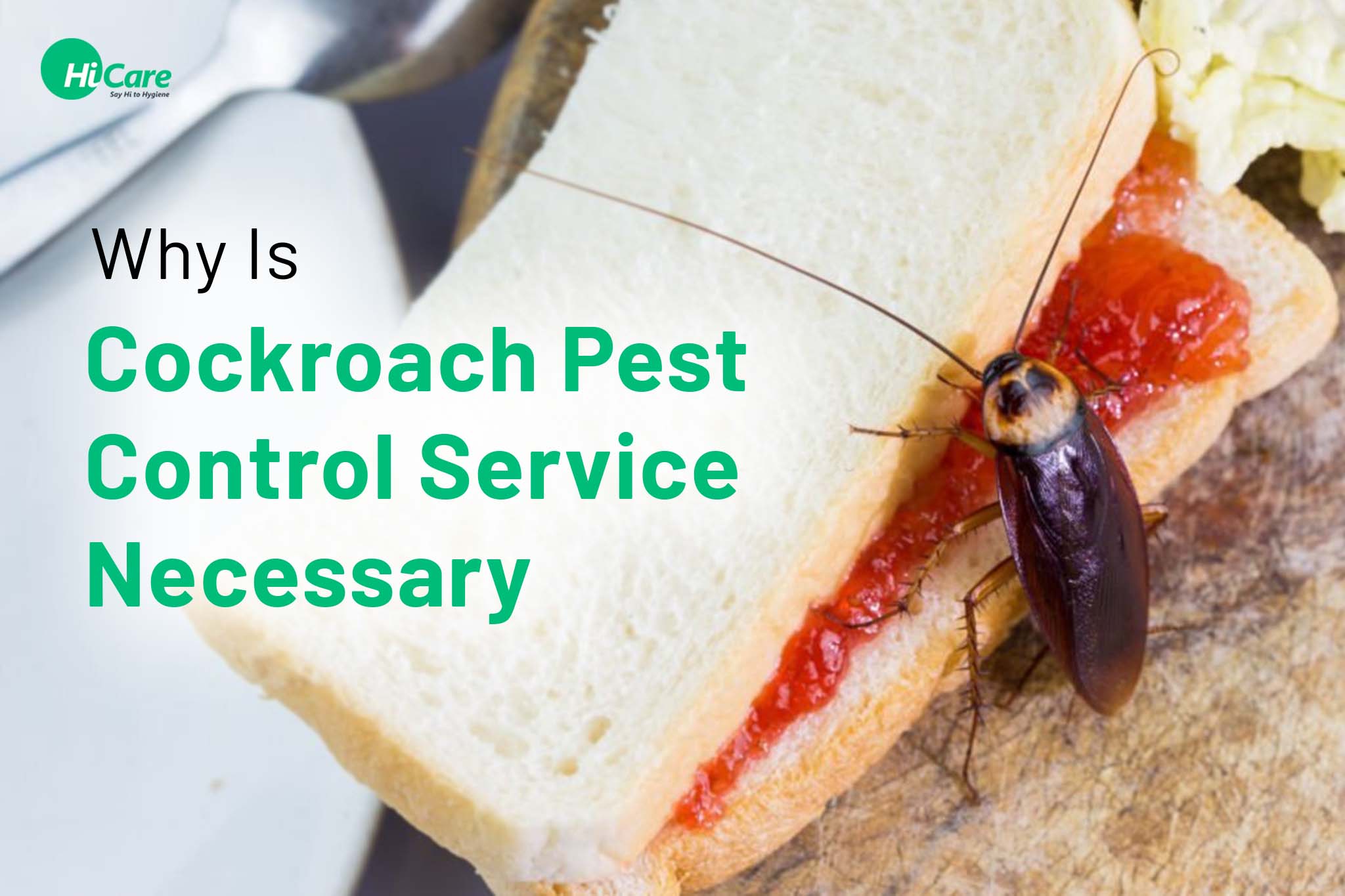 Why Is Cockroach Pest Control Service Necessary? | HiCare