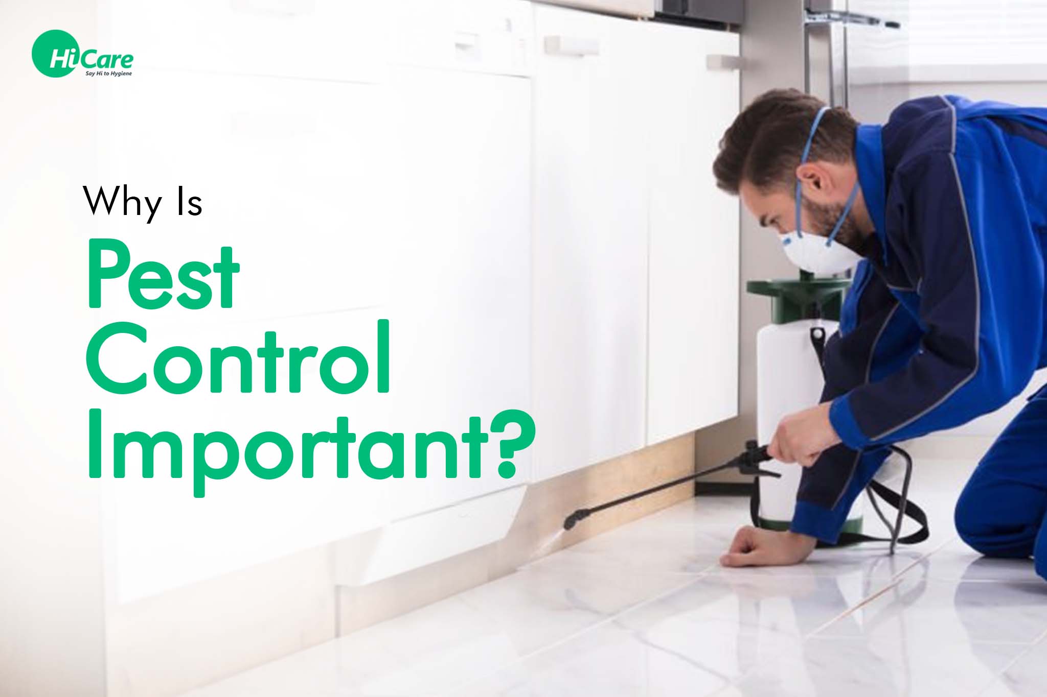 Why Is Pest Control Important? | HiCare