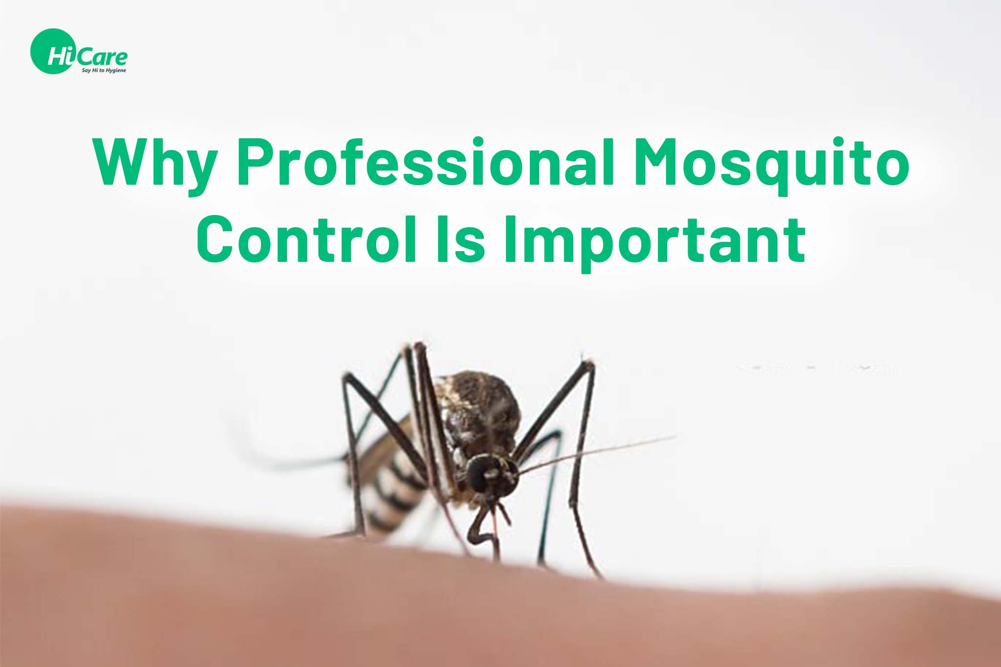 Why Professional Mosquito Control Is Important?