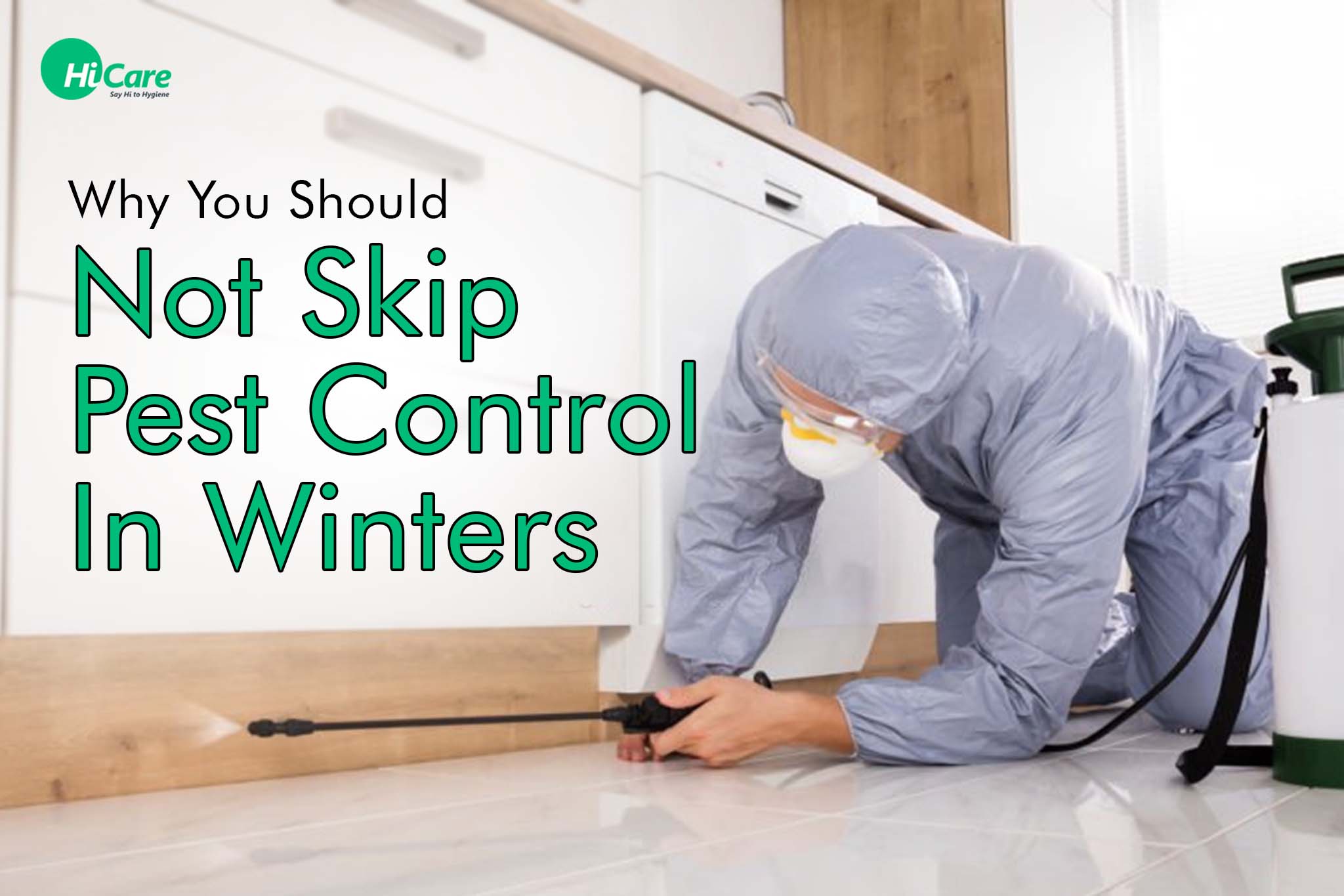 why you should not skip pest control in winters