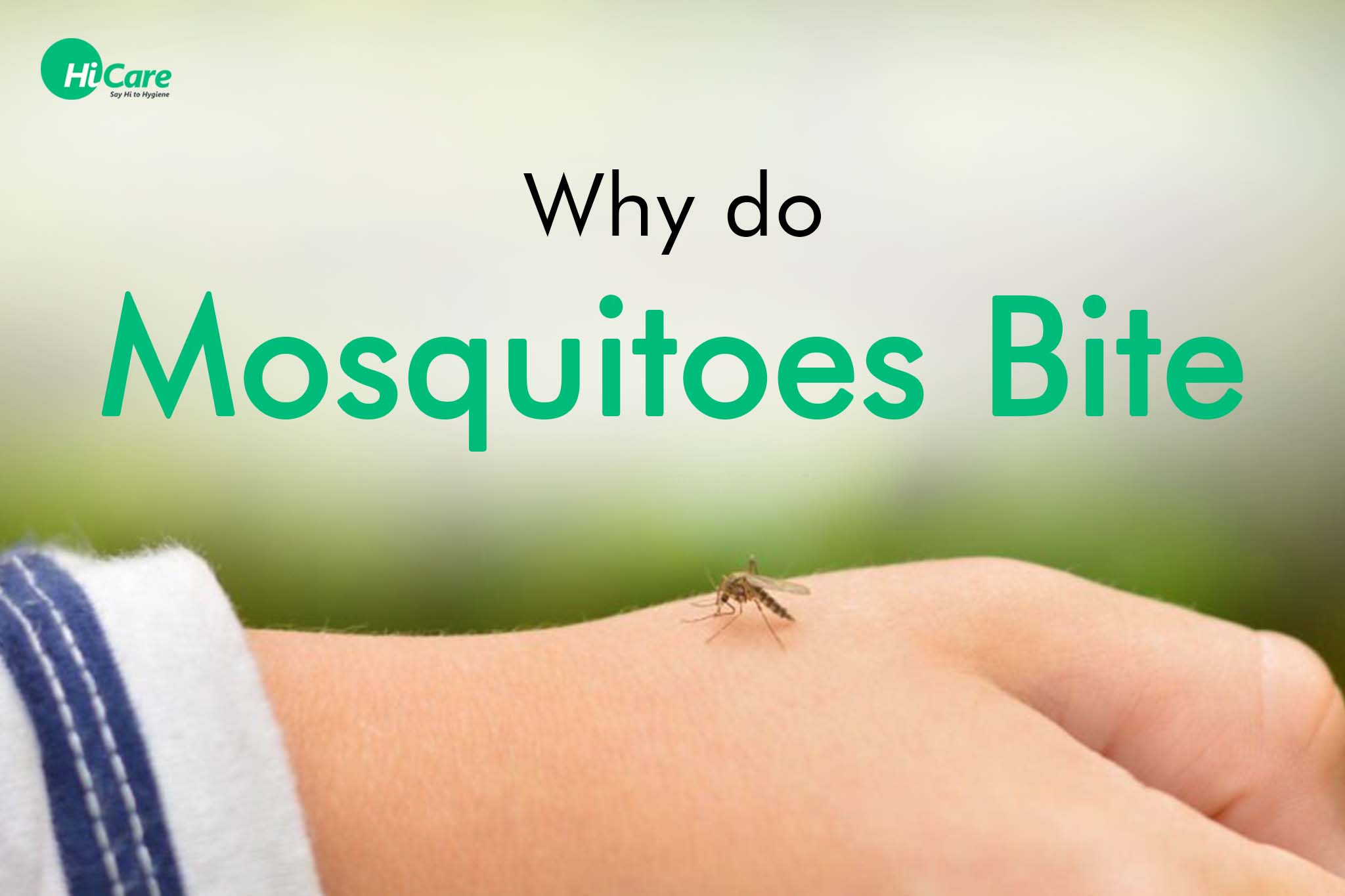Why do mosquitoes bite?