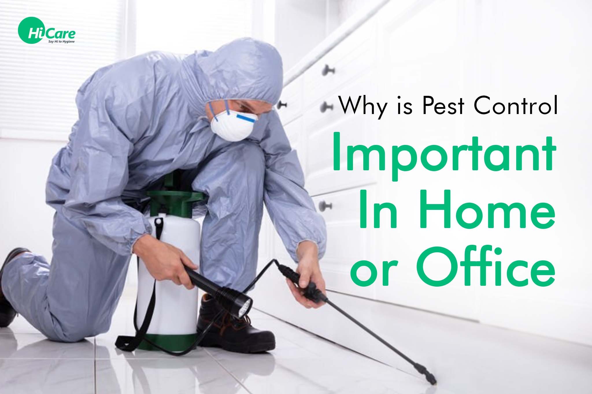 why is pest control important in home and hospital